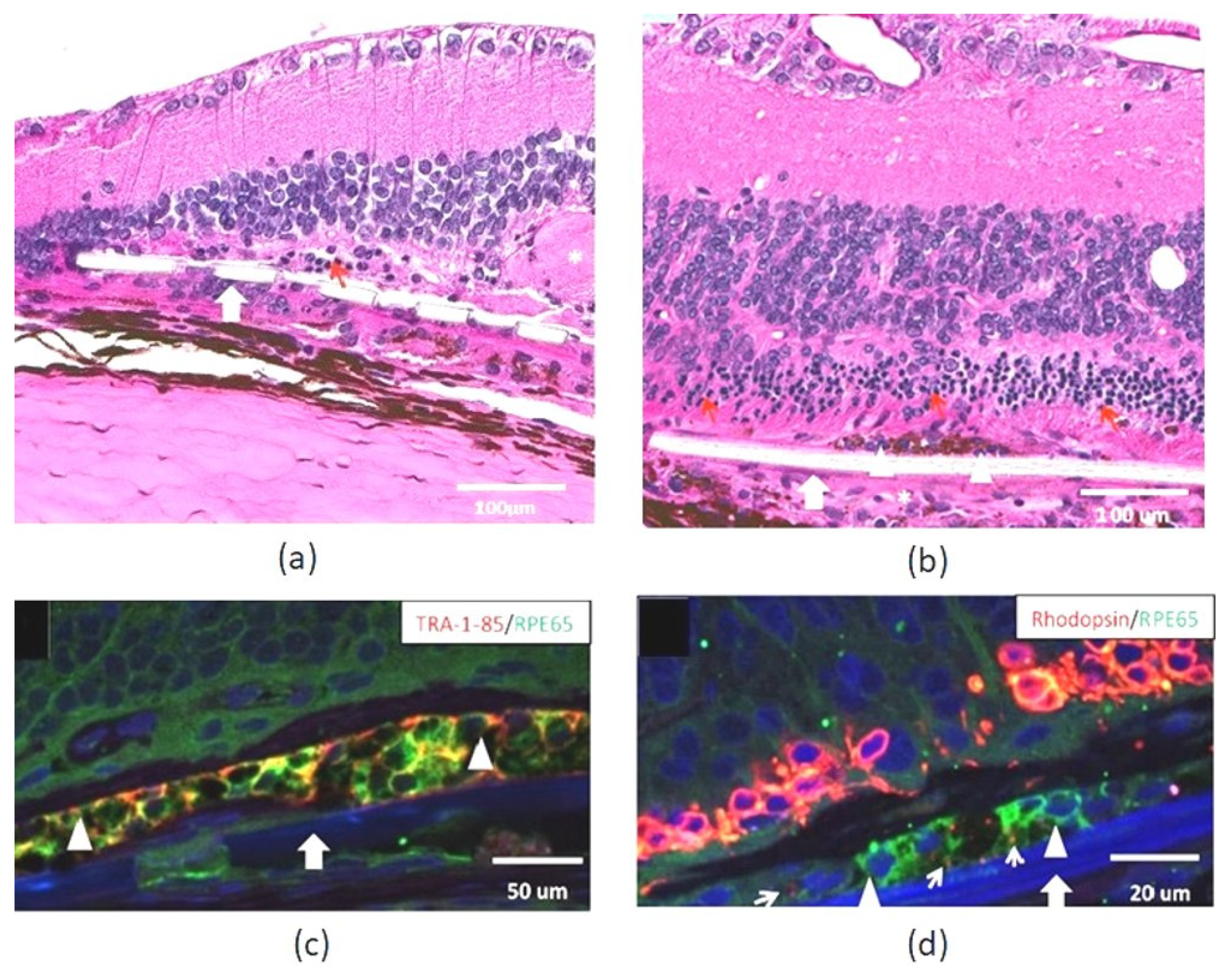 Applsci 11 02154 g001