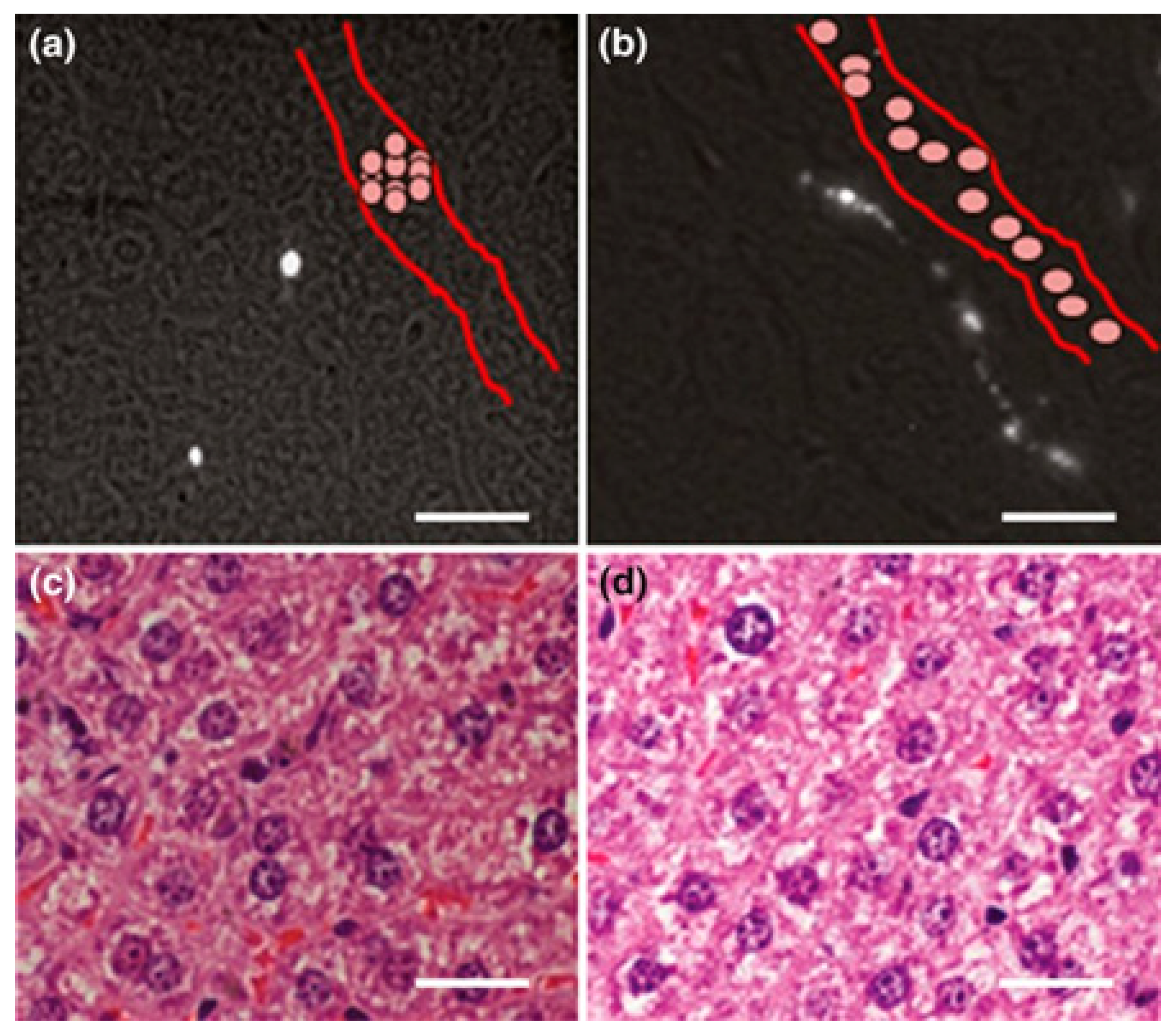 Applsci 11 02172 g007