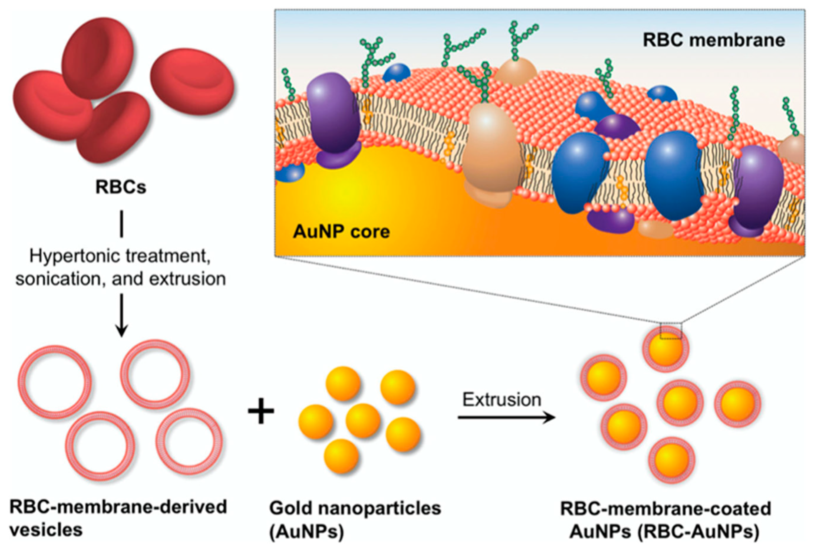 Applsci 11 02173 g002