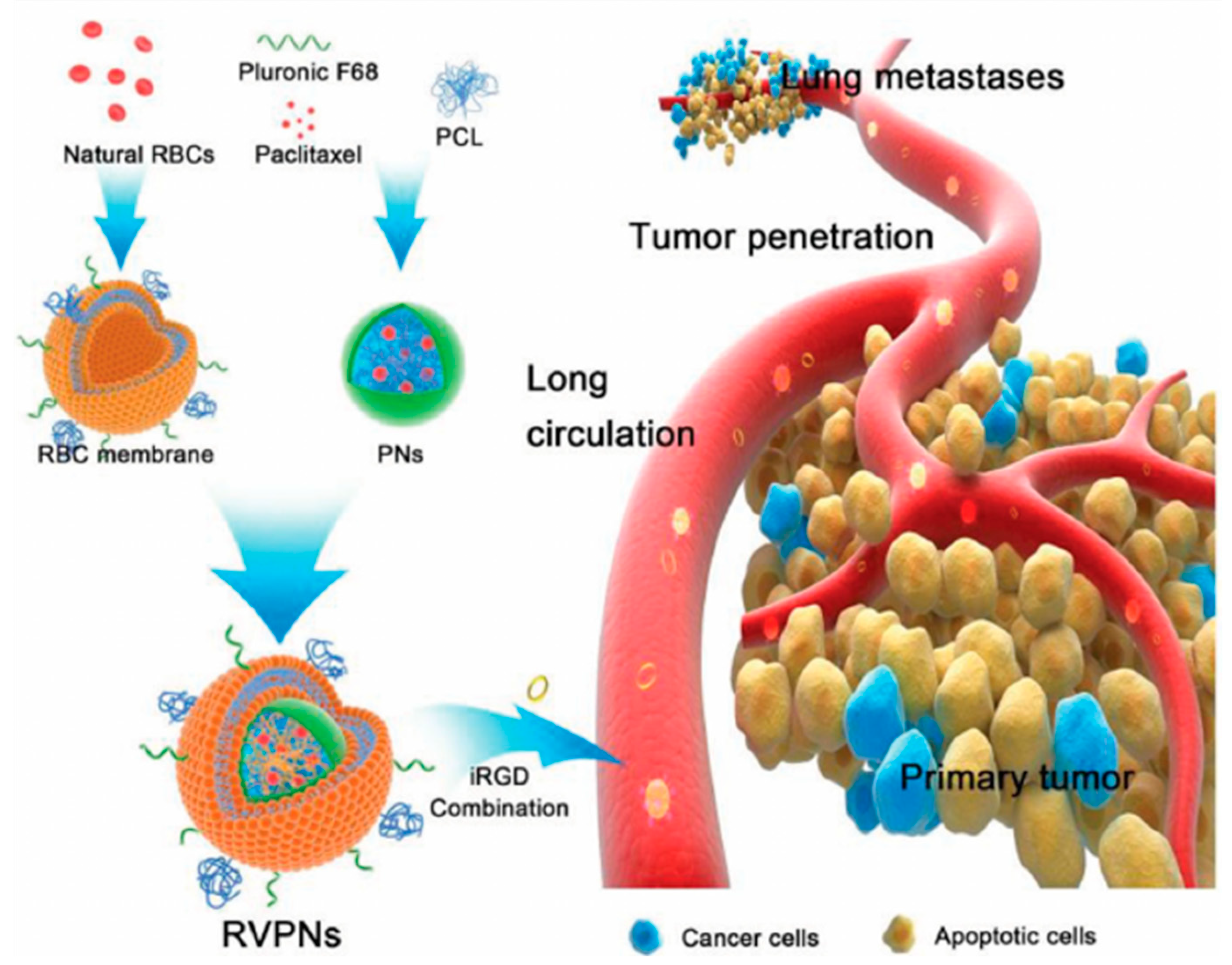 Applsci 11 02173 g003