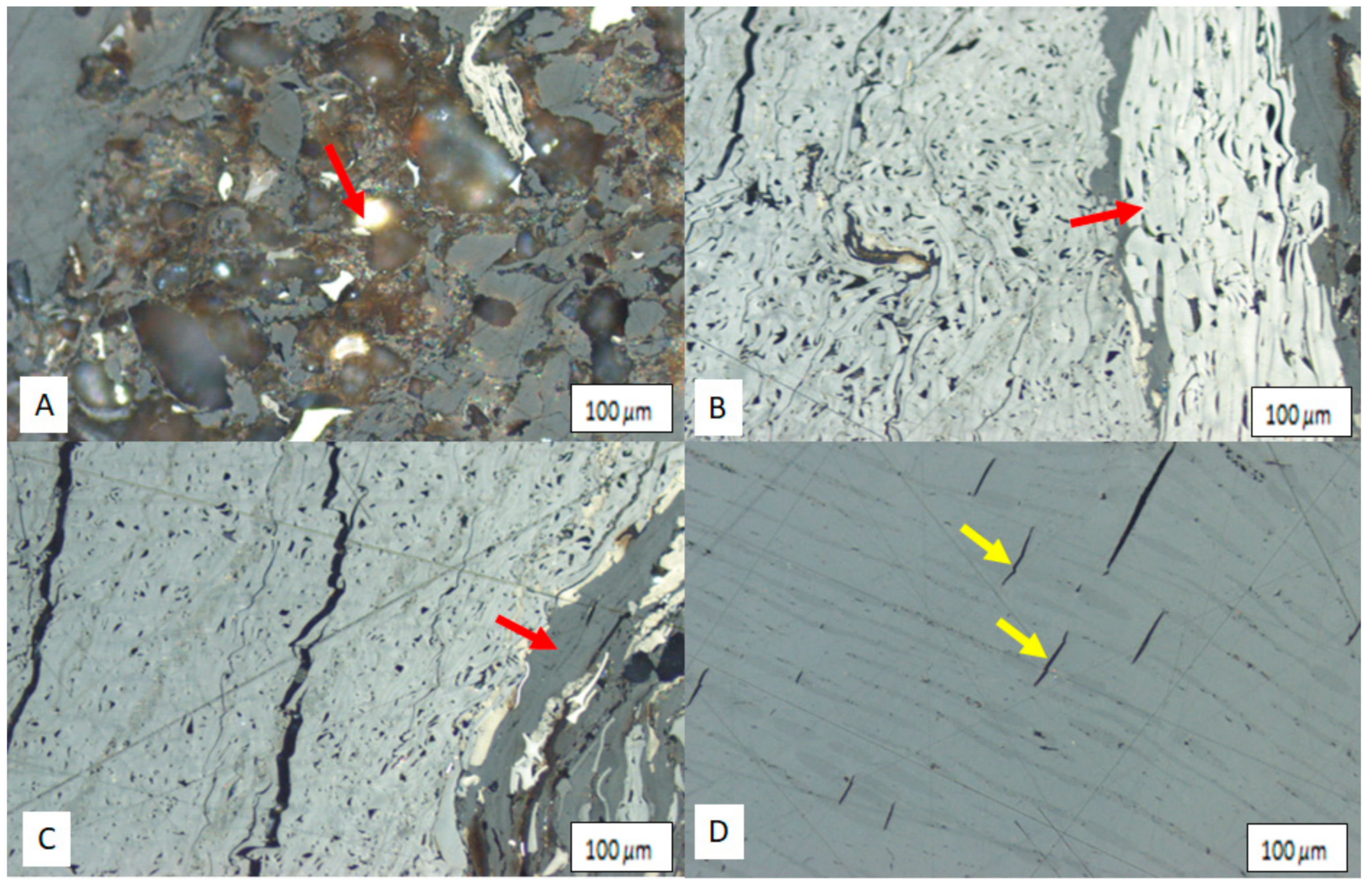 Applsci 11 02179 g006 Applsci 11 02179 g006