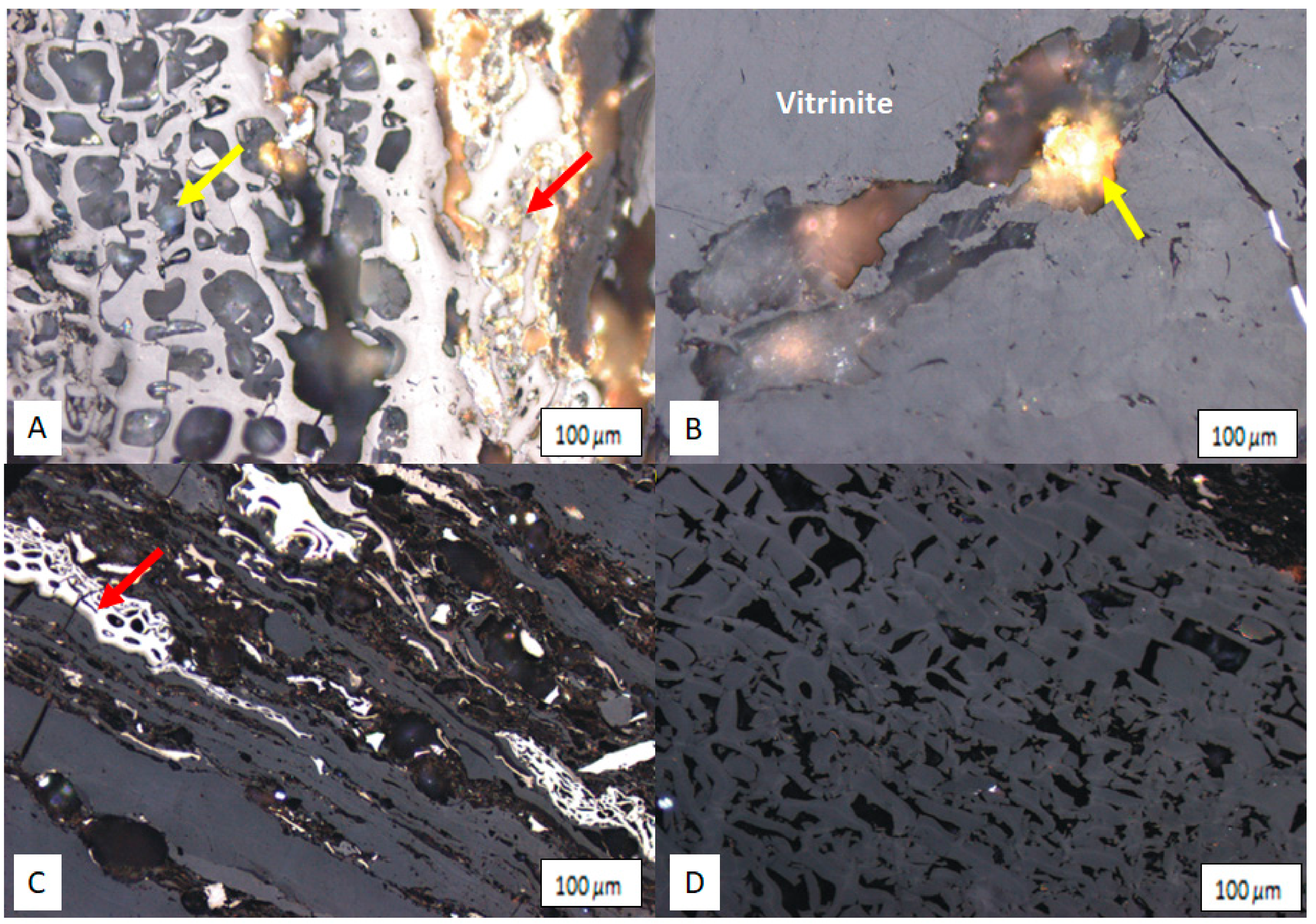 Applsci 11 02179 g008 Applsci 11 02179 g008