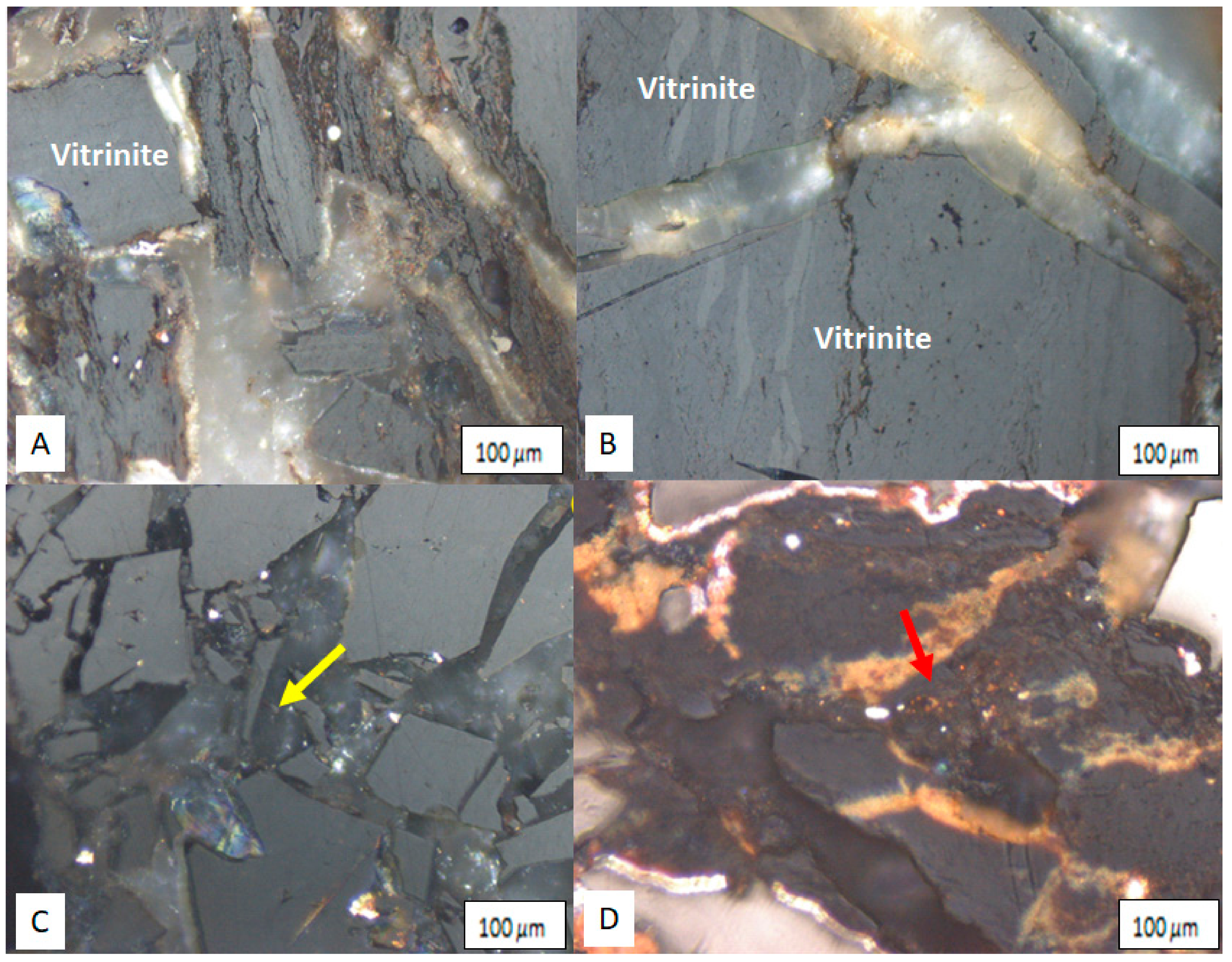 Applsci 11 02179 g009 Applsci 11 02179 g009