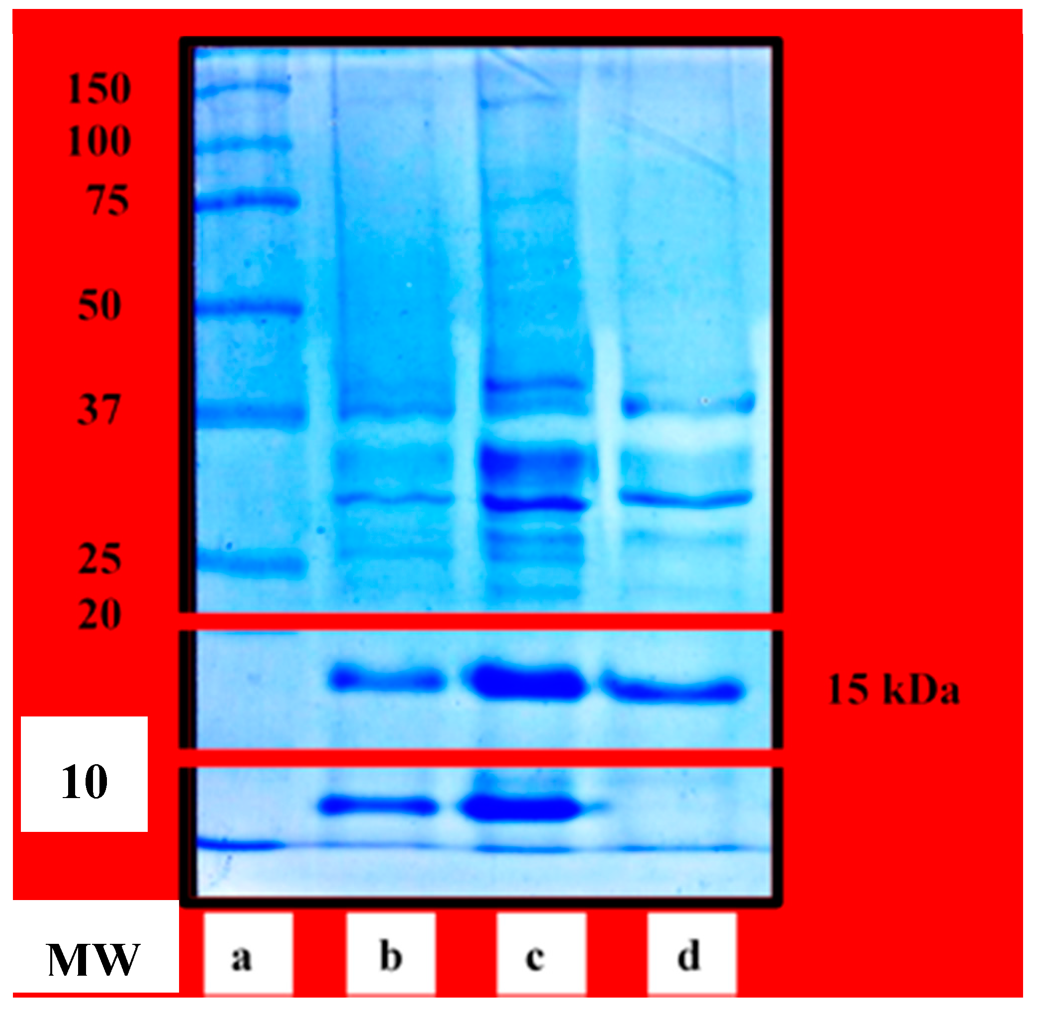 Applsci 11 02190 g001