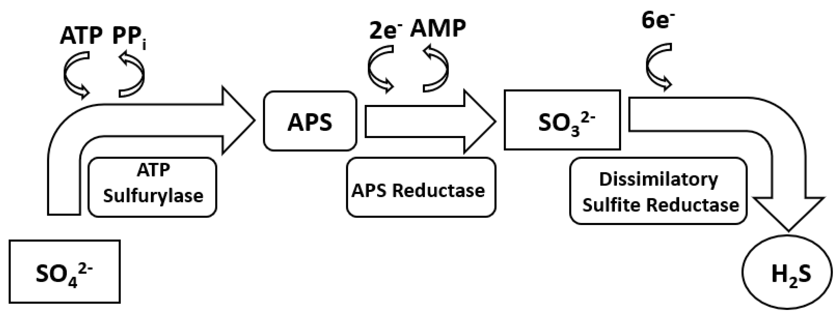 Applsci 11 02201 g001