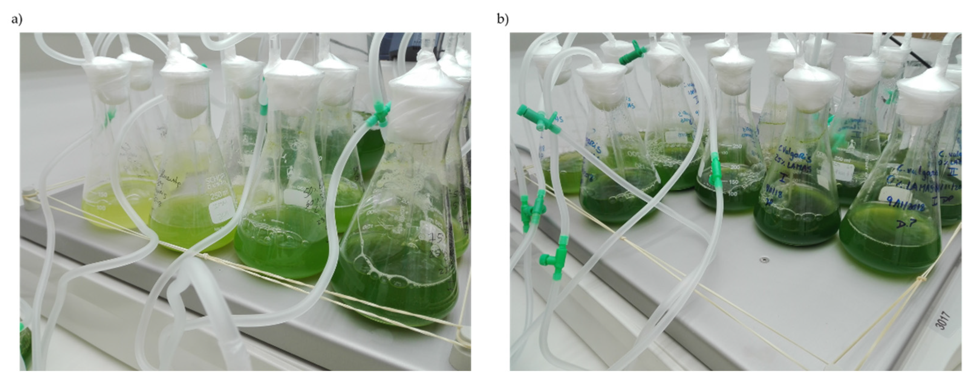 Applsci 11 02207 g001