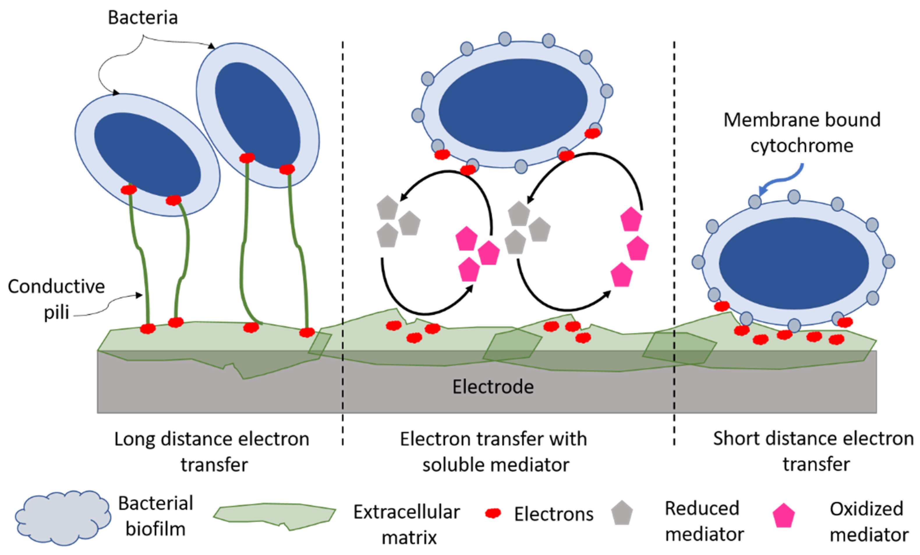 Applsci 11 02220 g003 Applsci 11 02220 g003