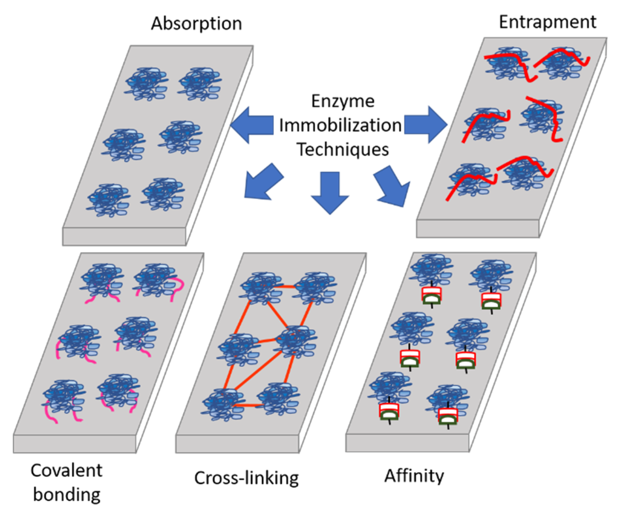 Applsci 11 02220 g011 Applsci 11 02220 g011
