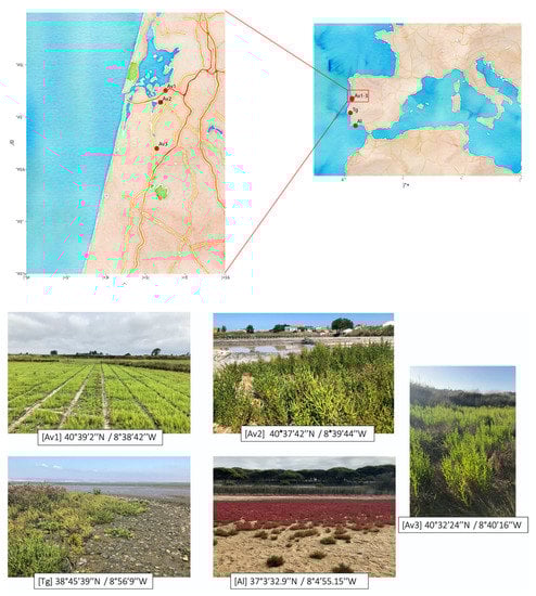 Applsci 11 02233 g0a1