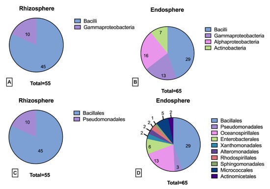 Applsci 11 02233 g0a2