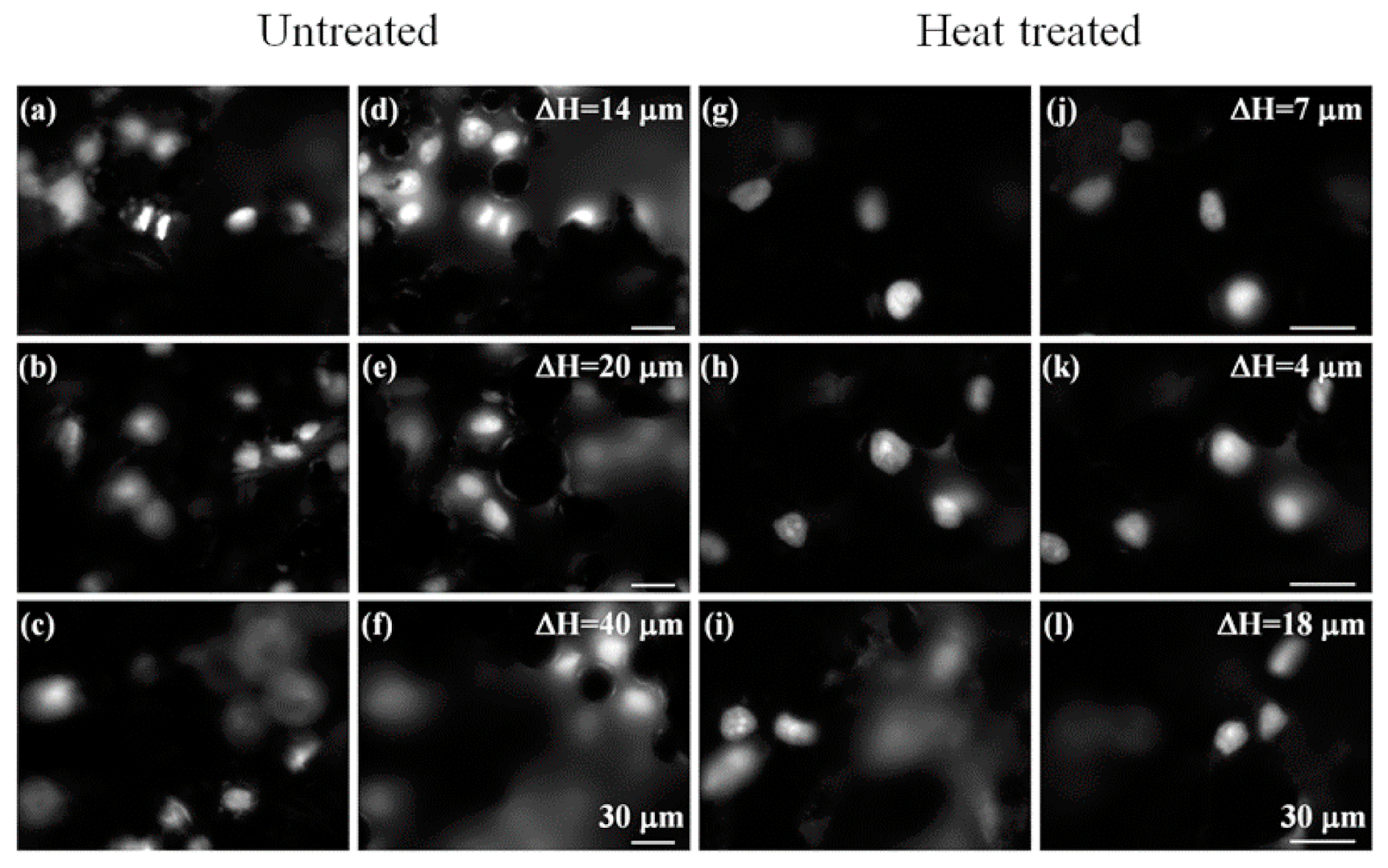 Applsci 11 02234 g008