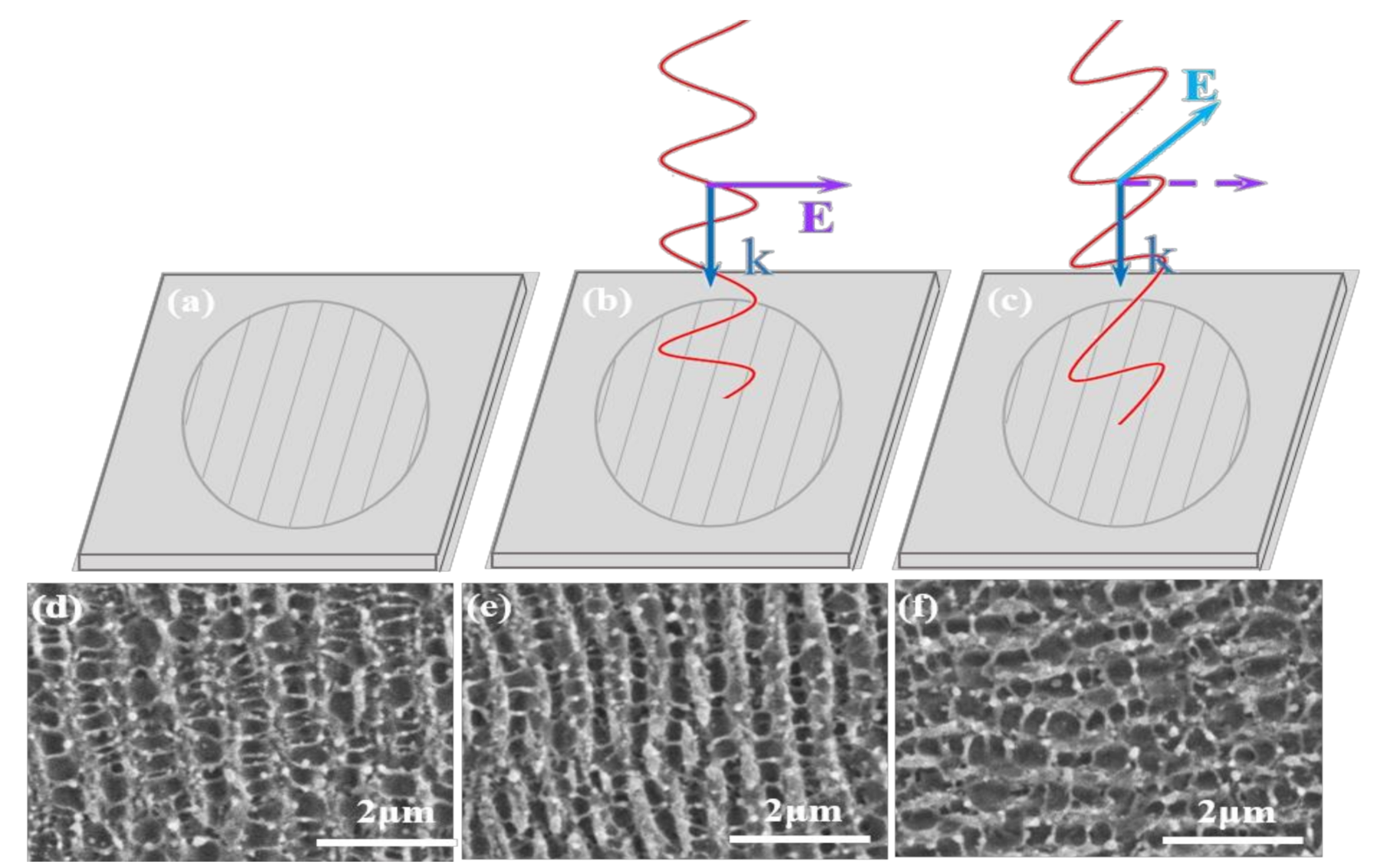 Applsci 11 02250 g002 Applsci 11 02250 g002