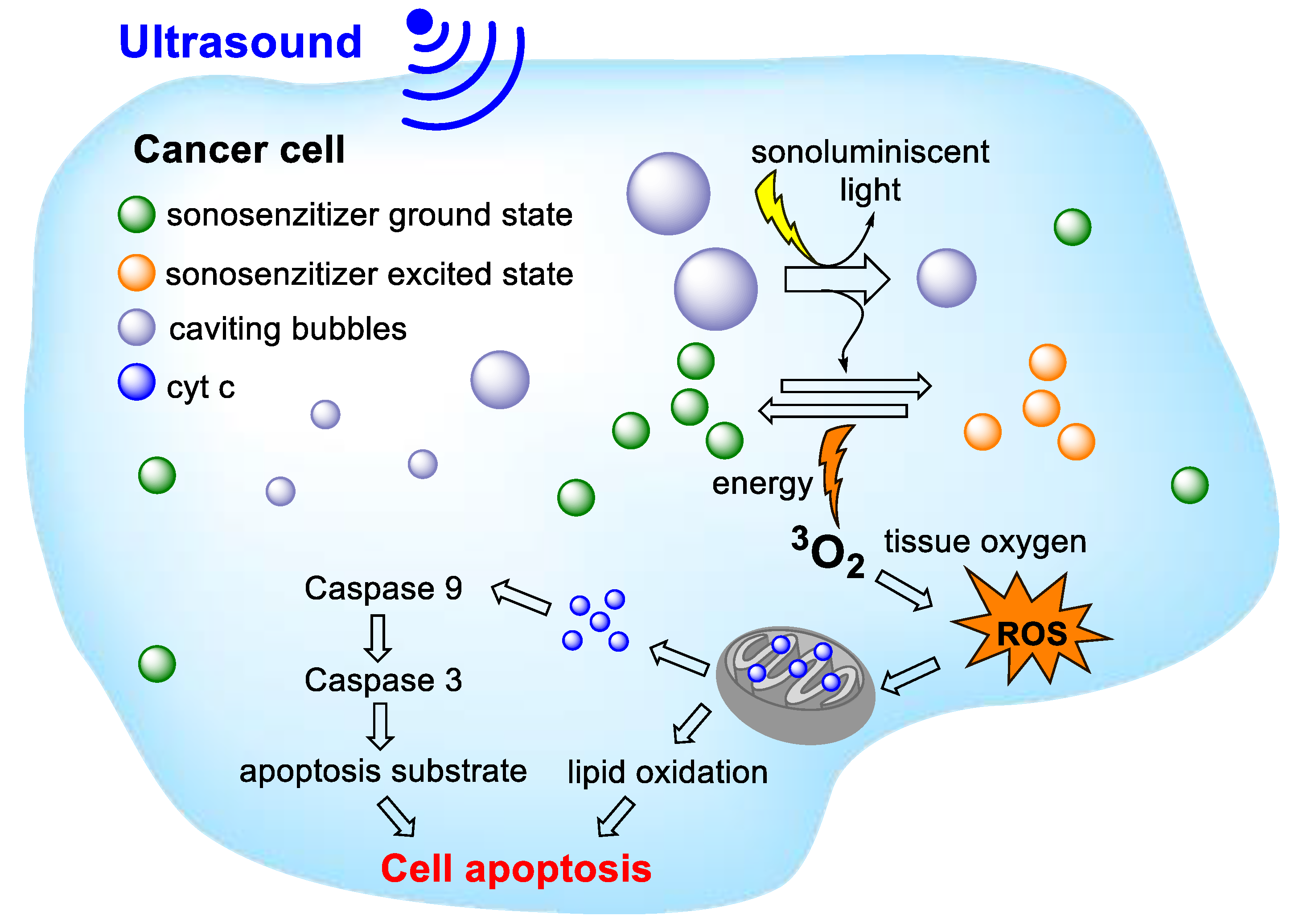 Applsci 11 02254 g005 Applsci 11 02254 g005