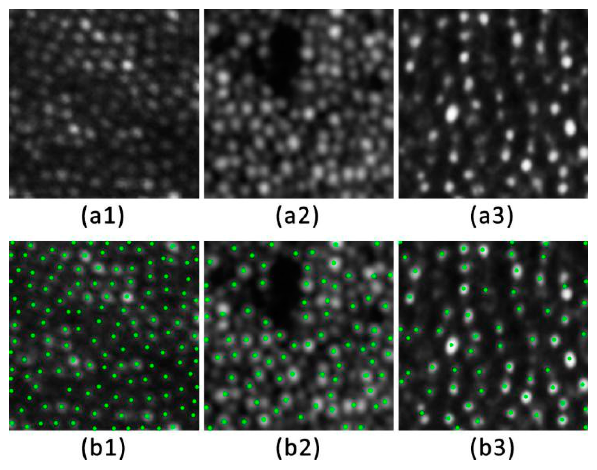 Applsci 11 02259 g010