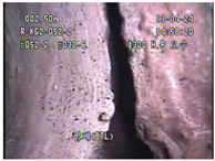 Applsci 11 02263 i045