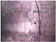 Applsci 11 02263 i079