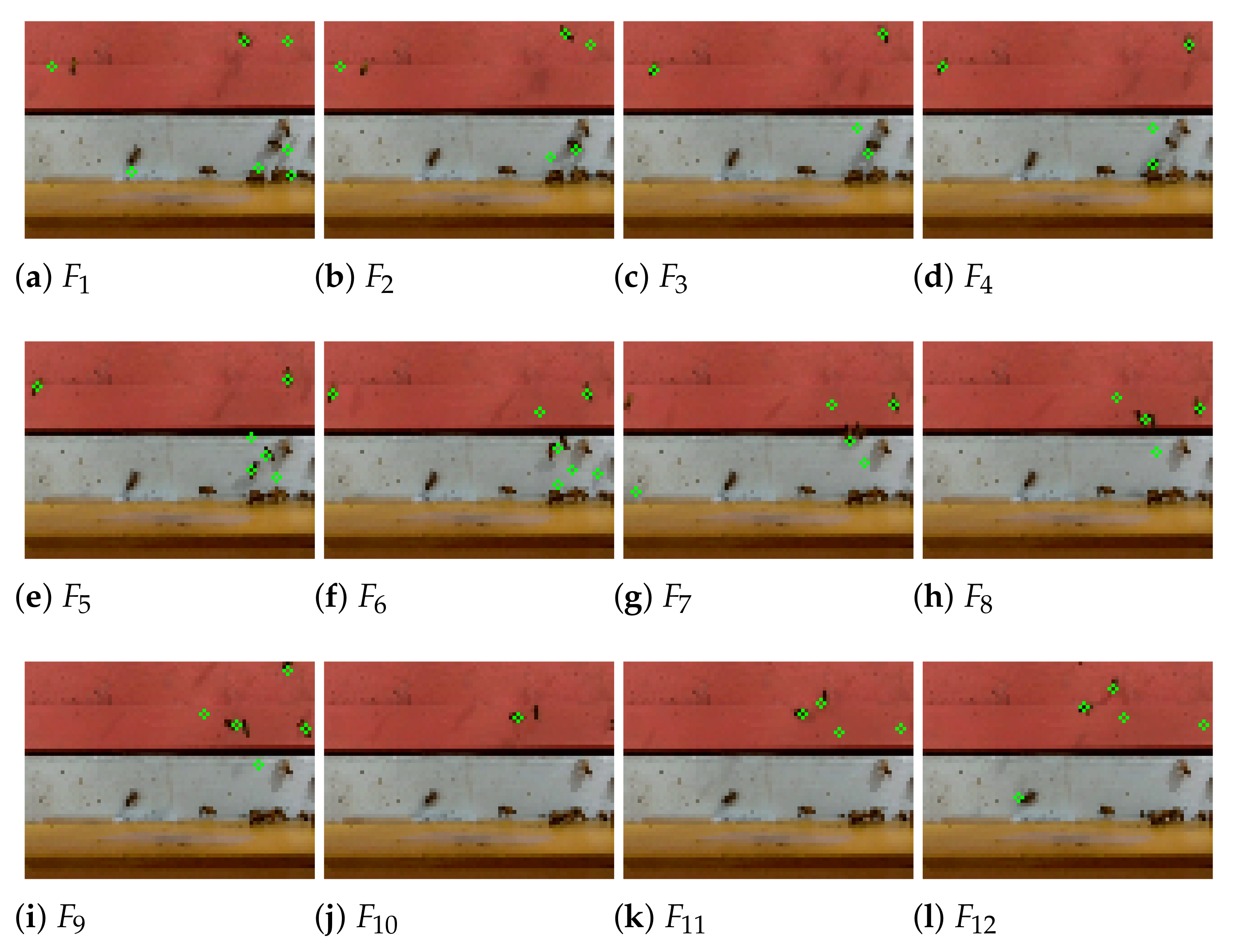 Applsci 11 02276 g012 Applsci 11 02276 g012