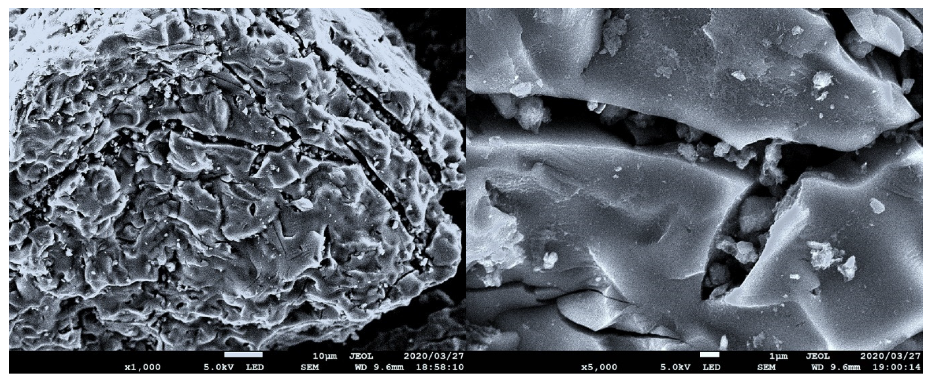 Applsci 11 02279 g002 Applsci 11 02279 g002