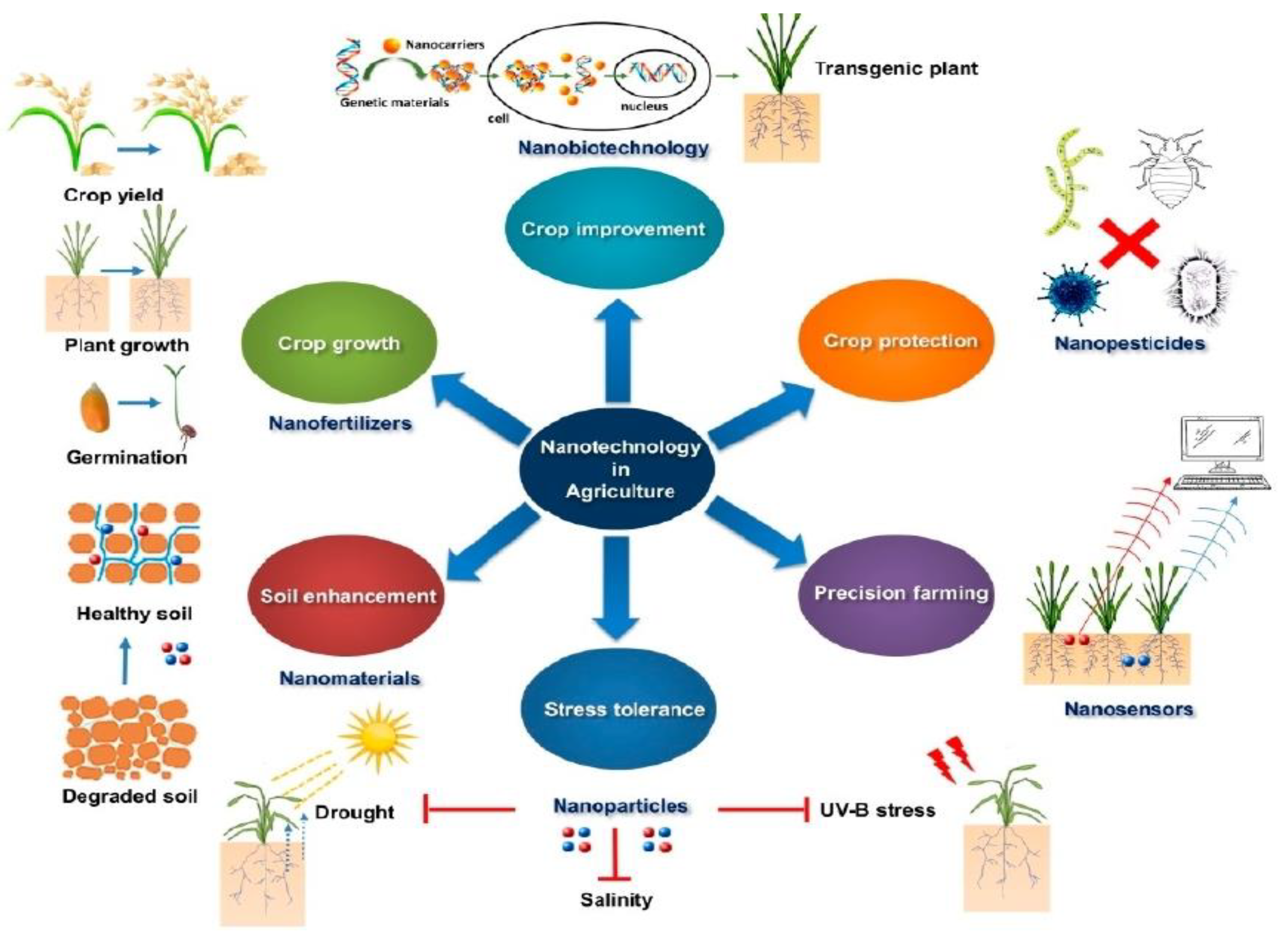 Applsci 11 02282 g002 Applsci 11 02282 g002