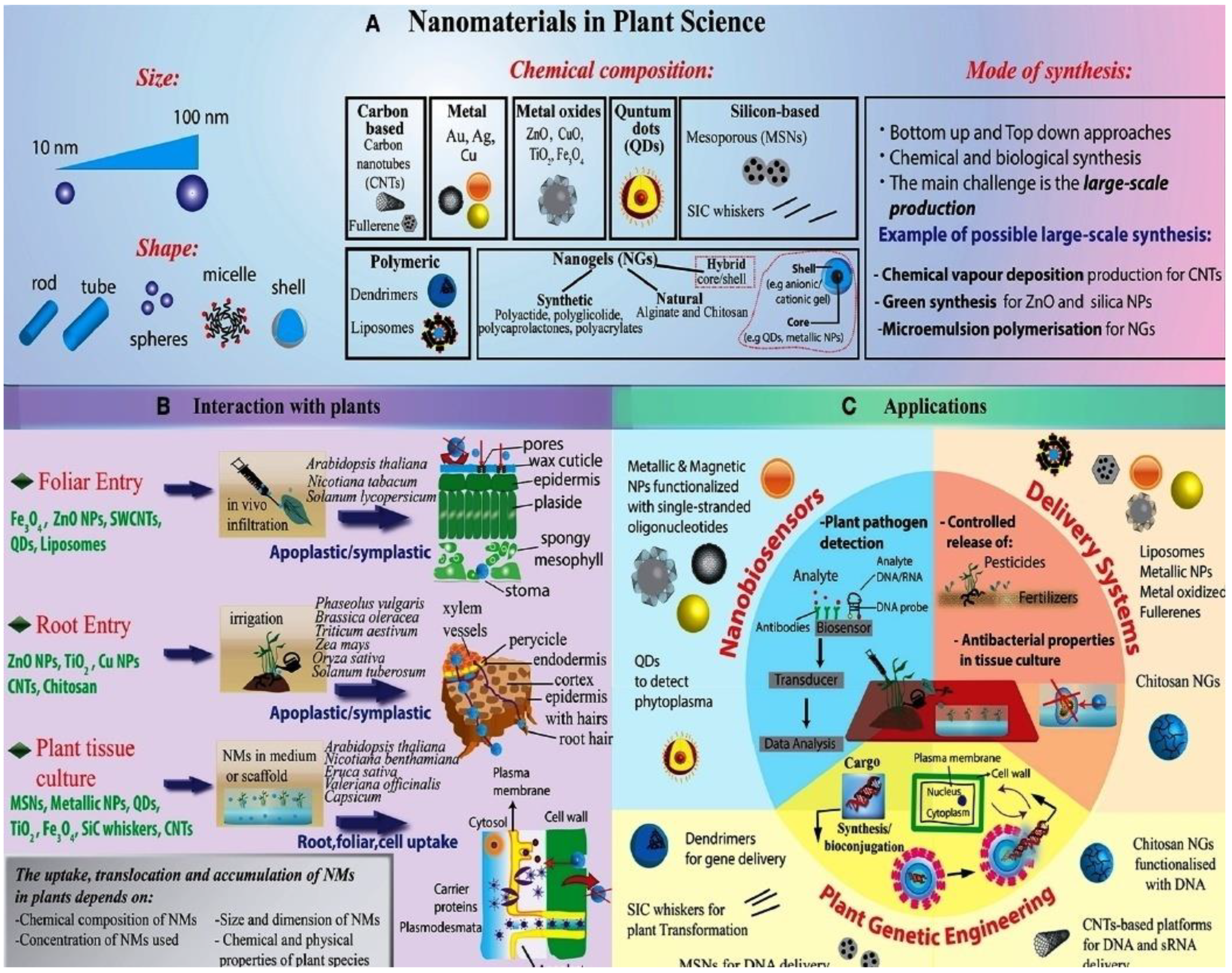 Applsci 11 02282 g003 Applsci 11 02282 g003