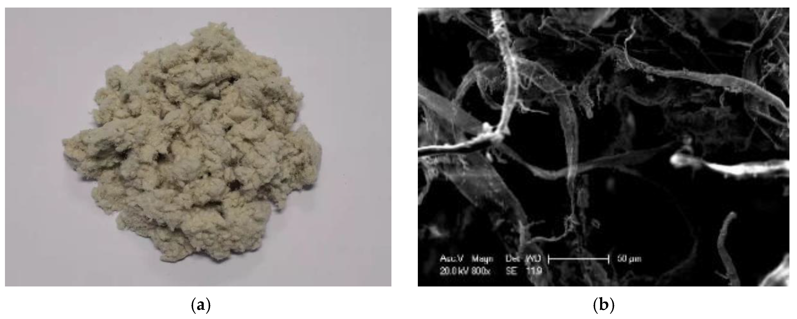 Applsci 11 02289 g002