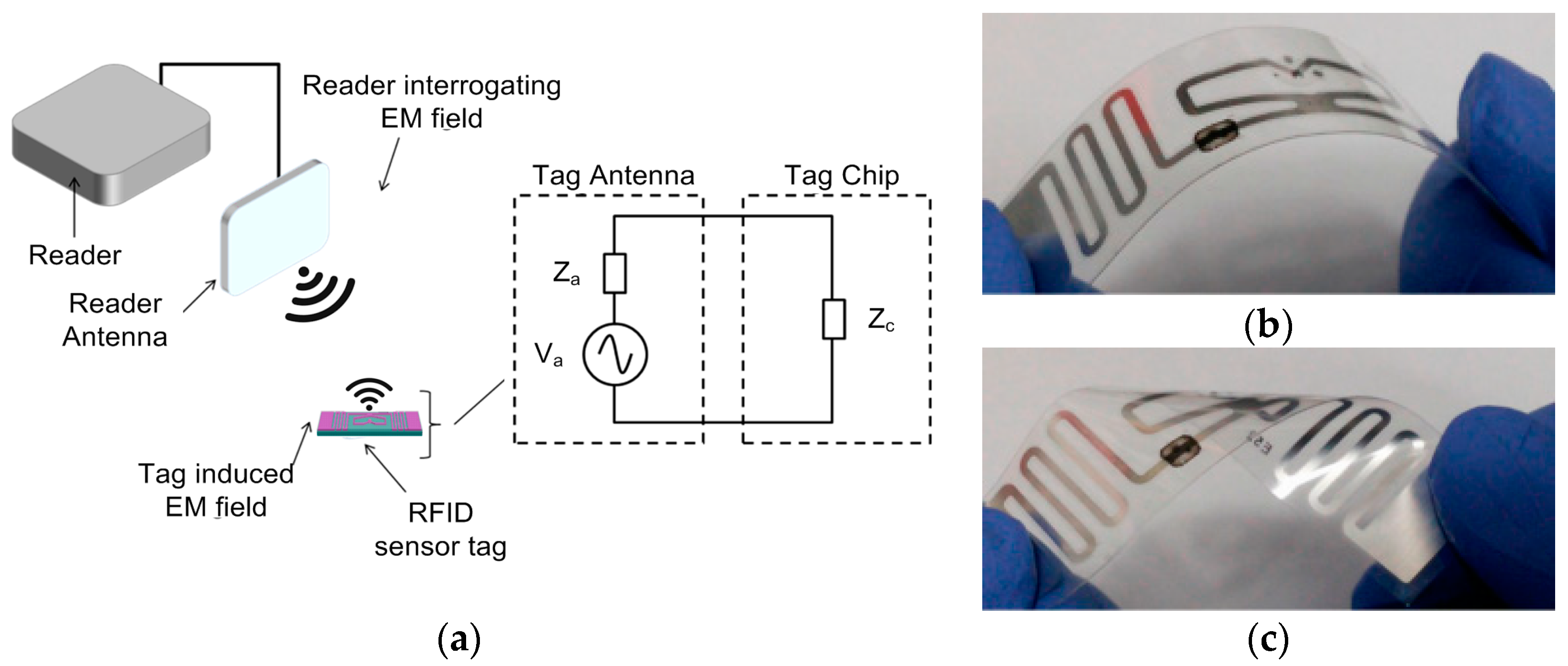 Applsci 11 02291 g011 Applsci 11 02291 g011