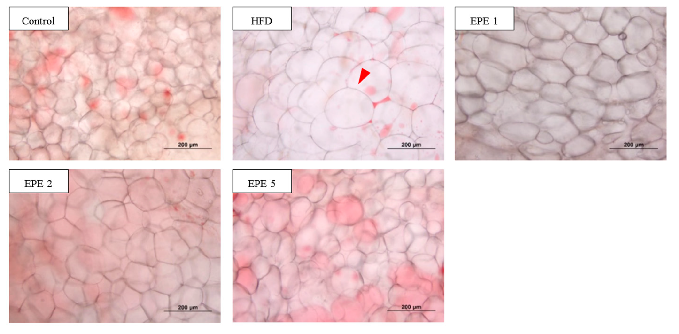 Applsci 11 02392 g002