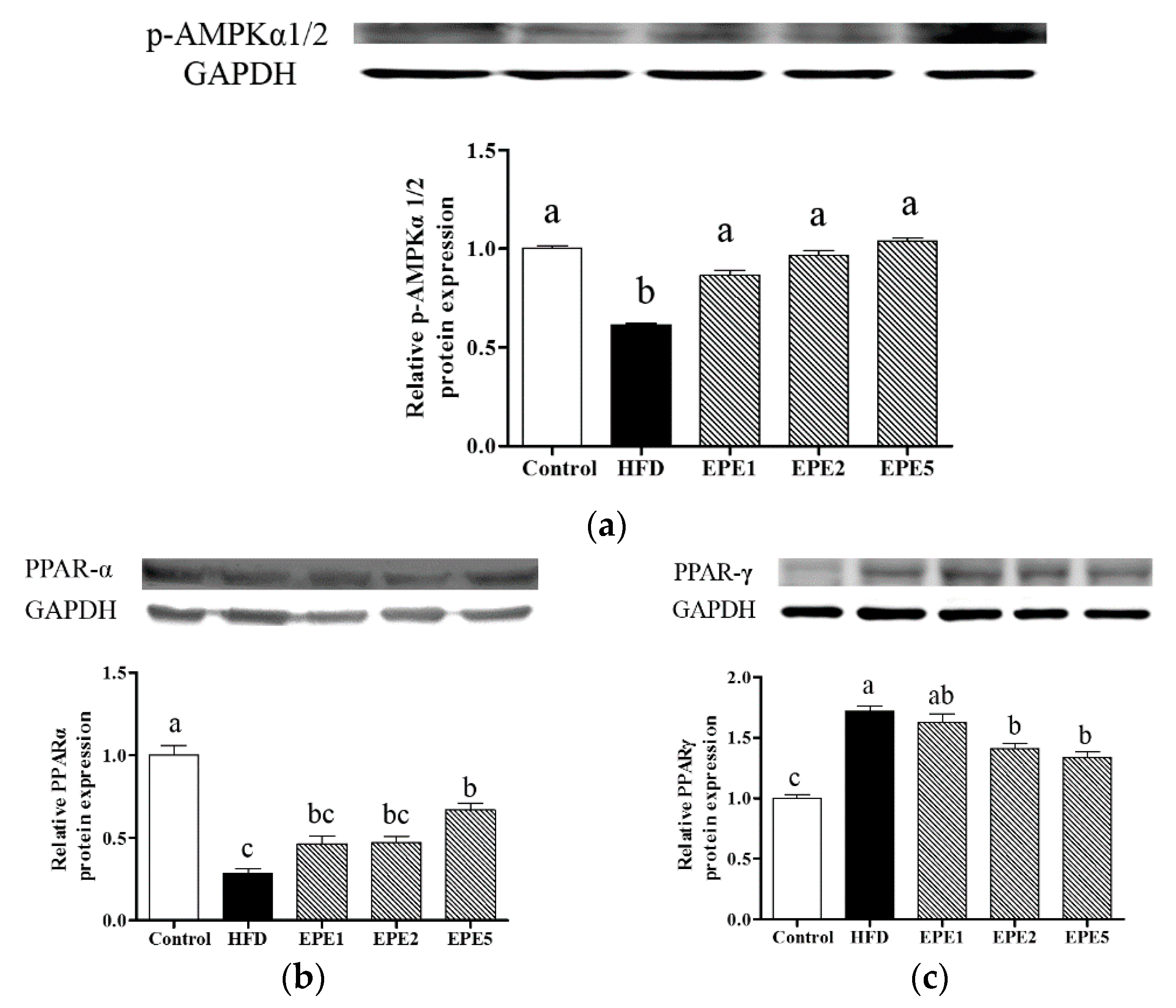 Applsci 11 02392 g007