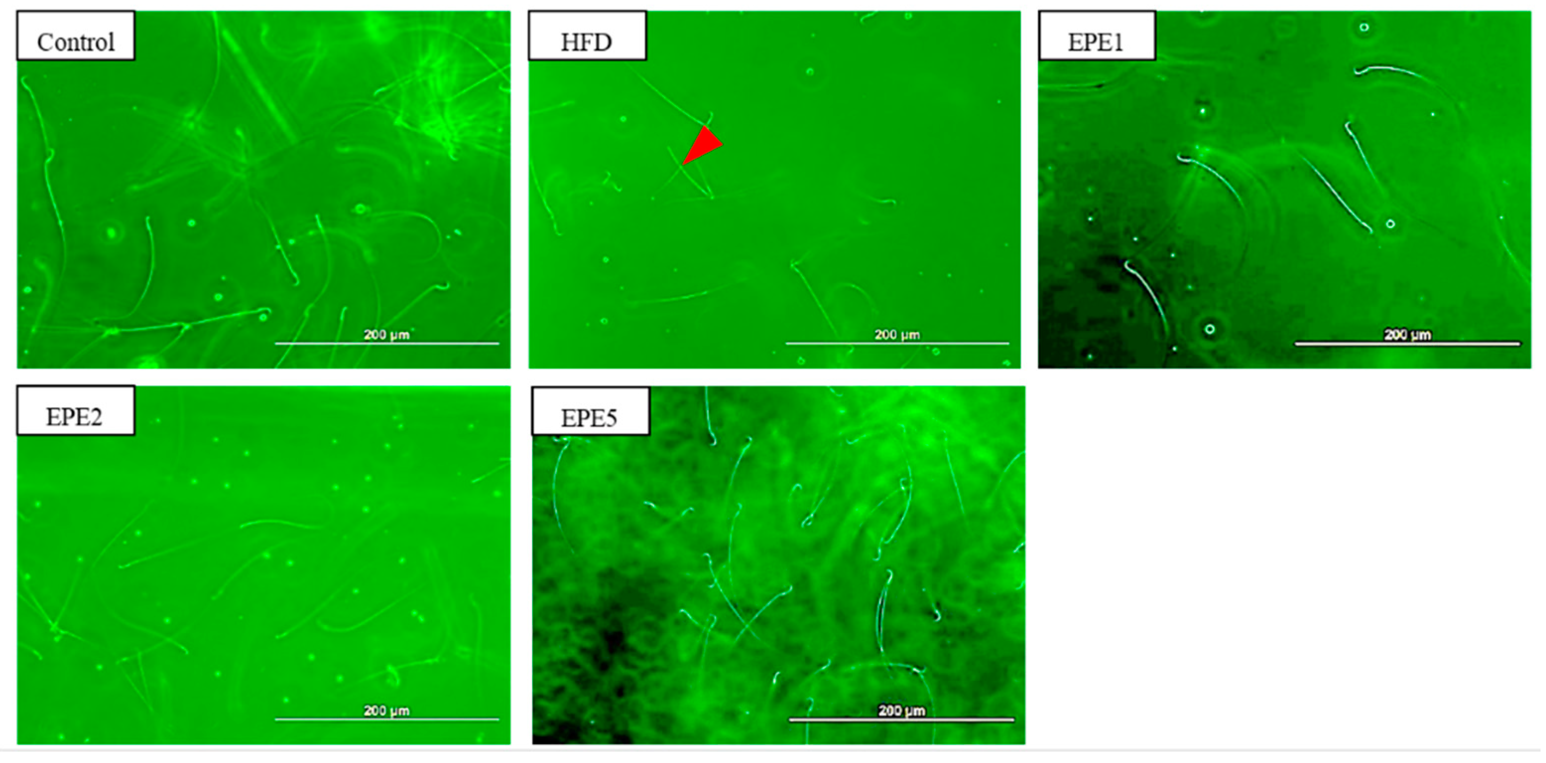 Applsci 11 02392 g009