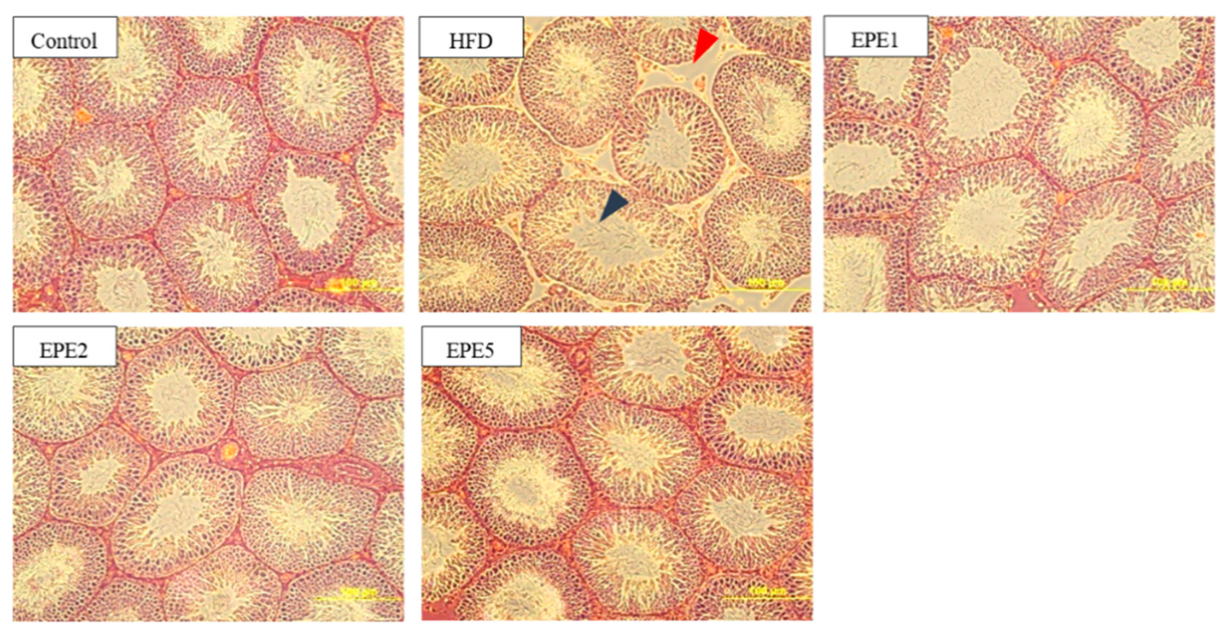 Applsci 11 02392 g010