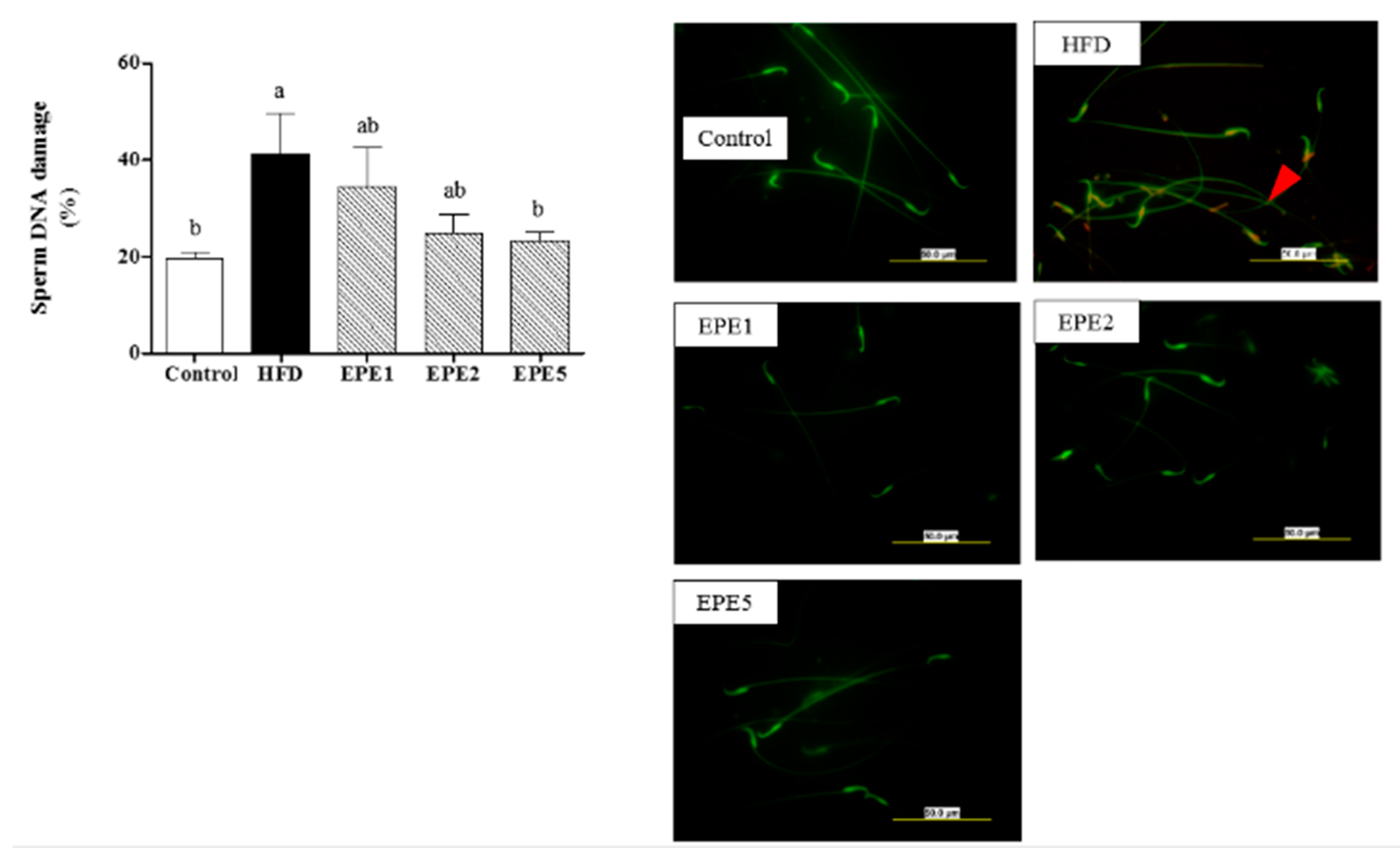 Applsci 11 02392 g012