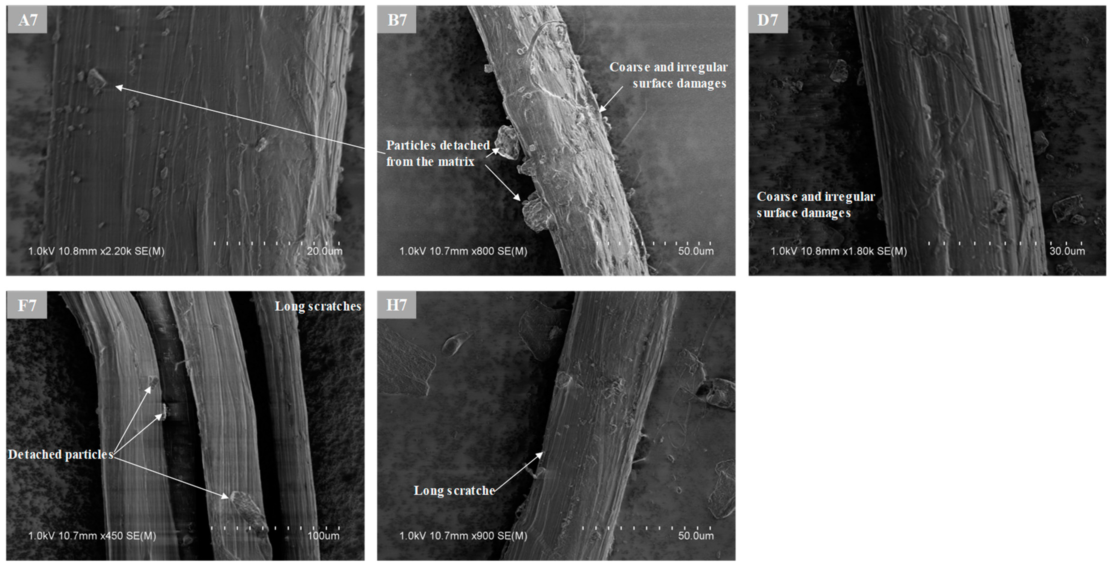 Applsci 11 02394 g012