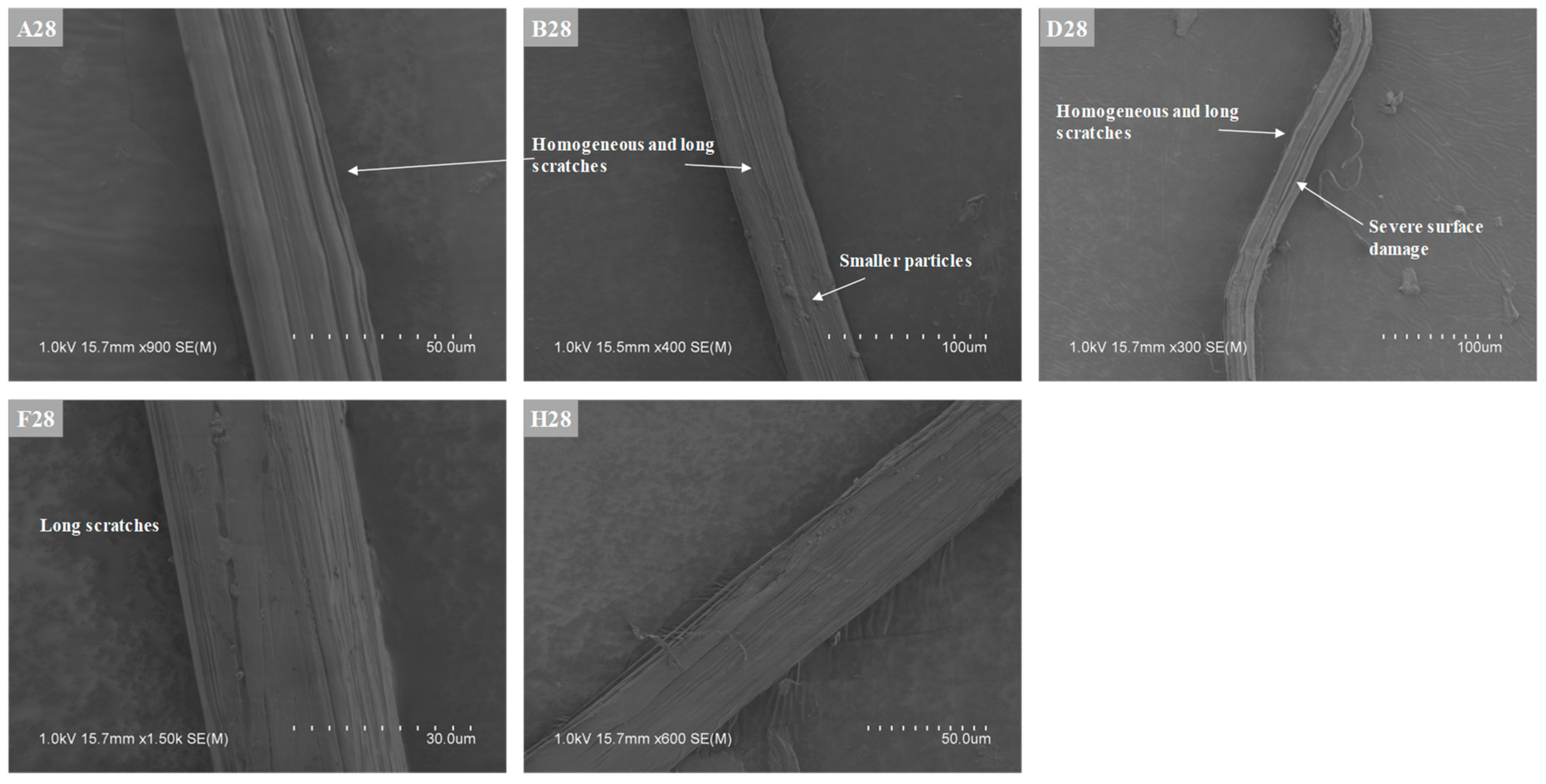 Applsci 11 02394 g013