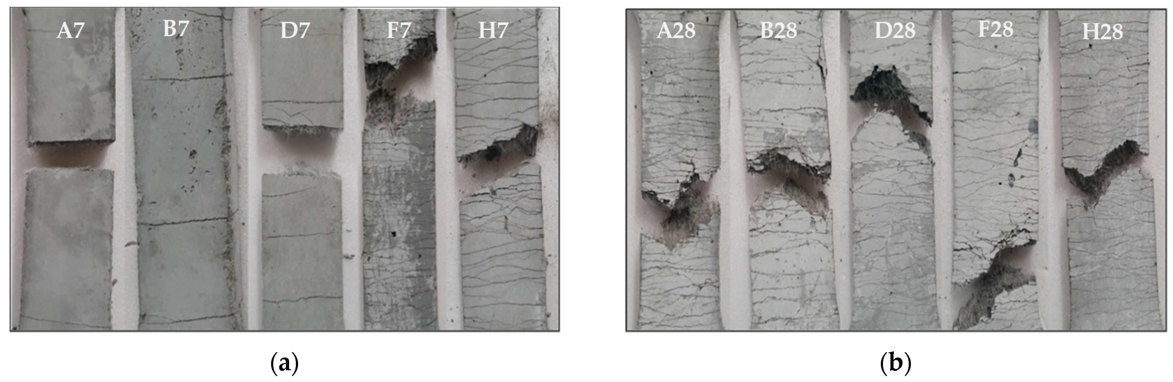 Applsci 11 02394 g016