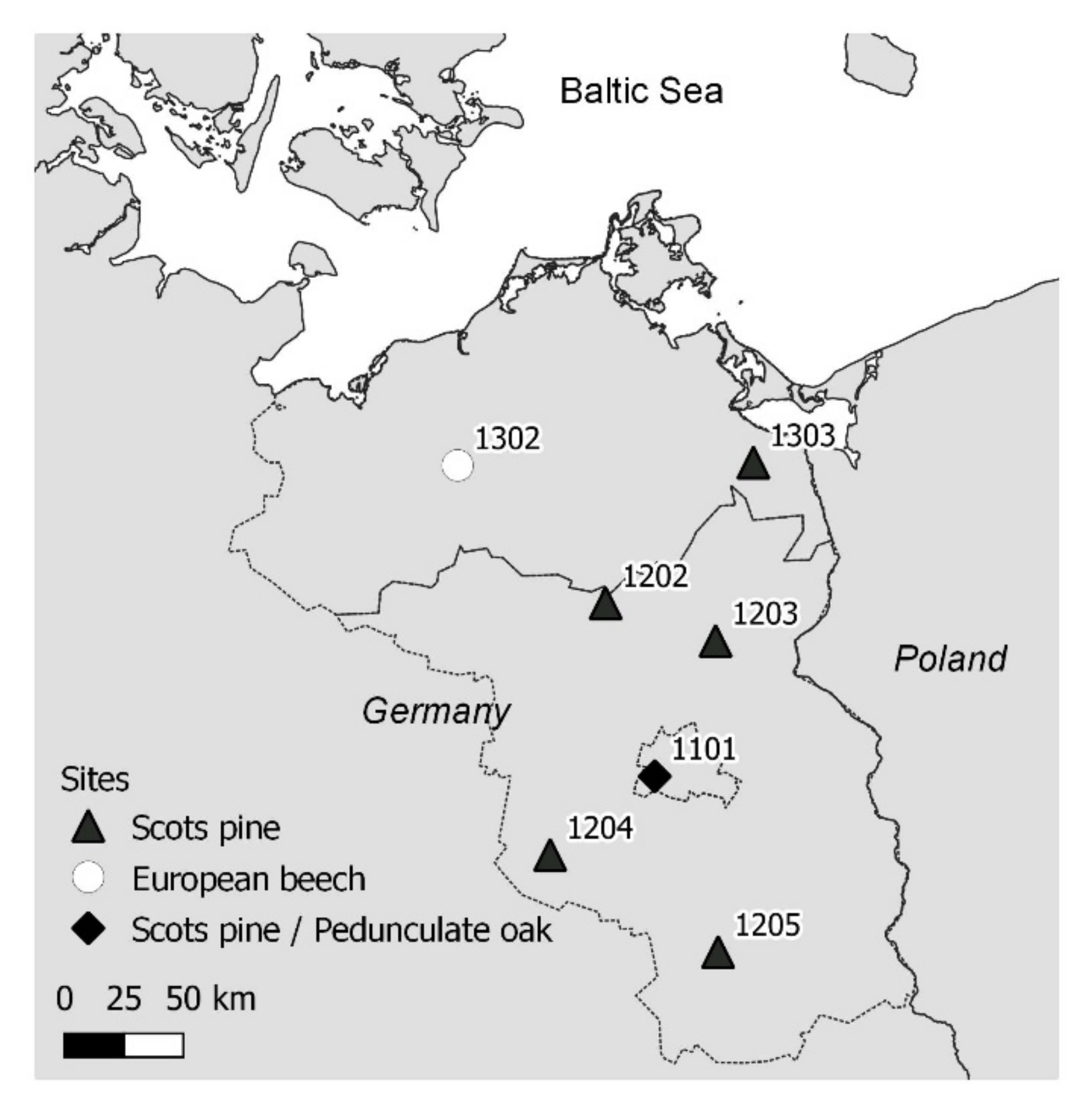 Applsci 11 02403 g001