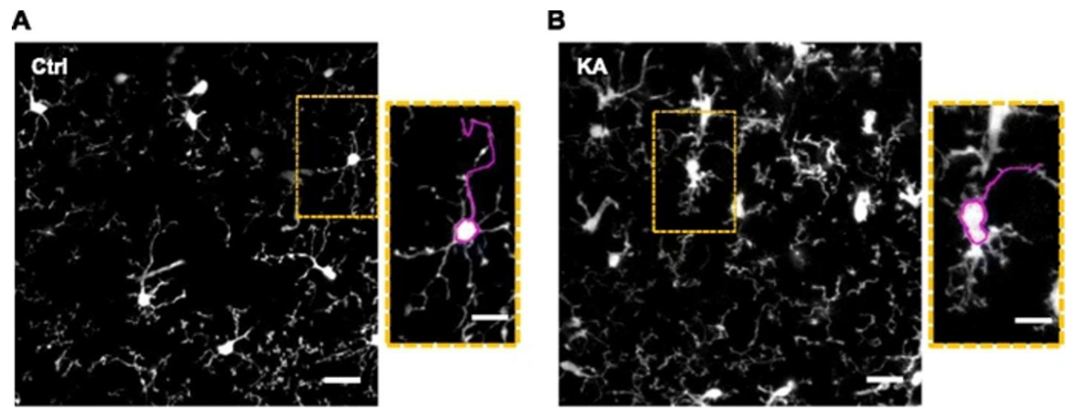 Applsci 11 02404 g002
