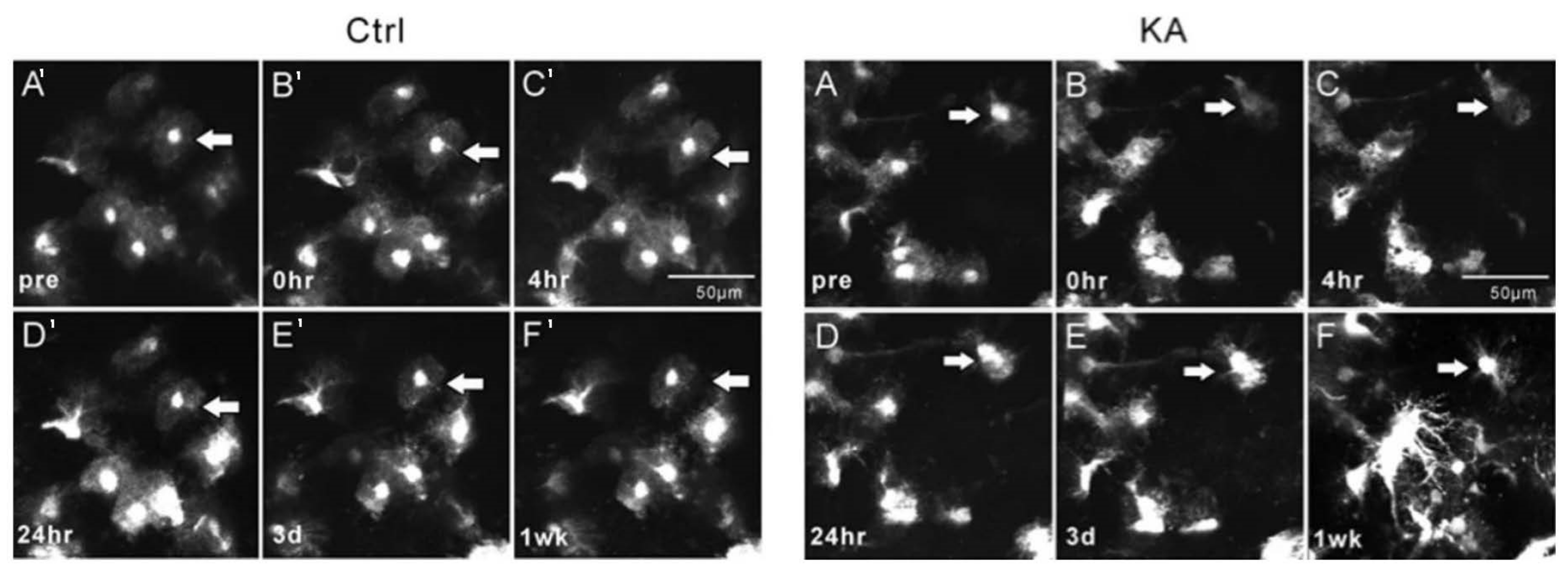 Applsci 11 02404 g003