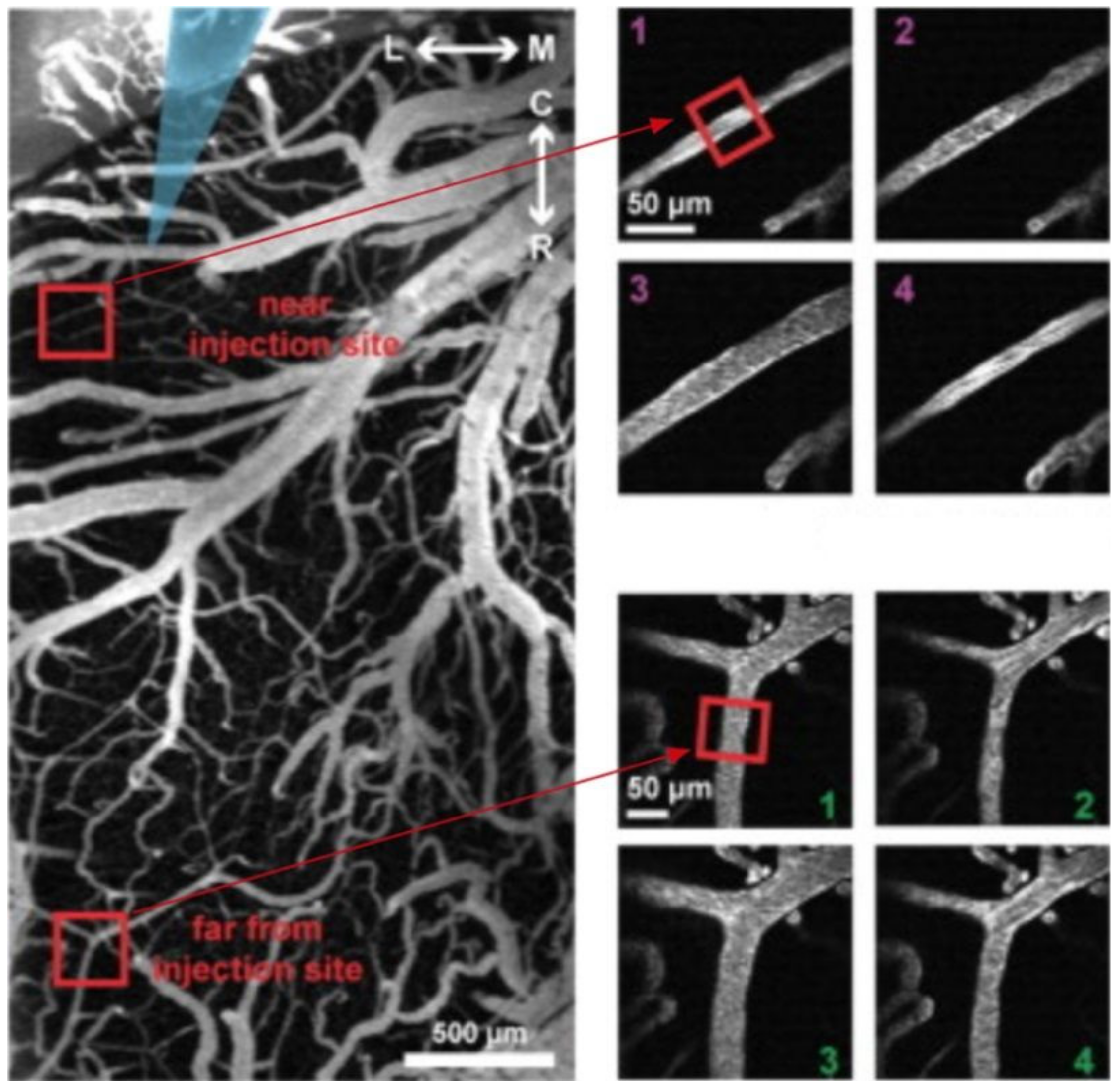 Applsci 11 02404 g004