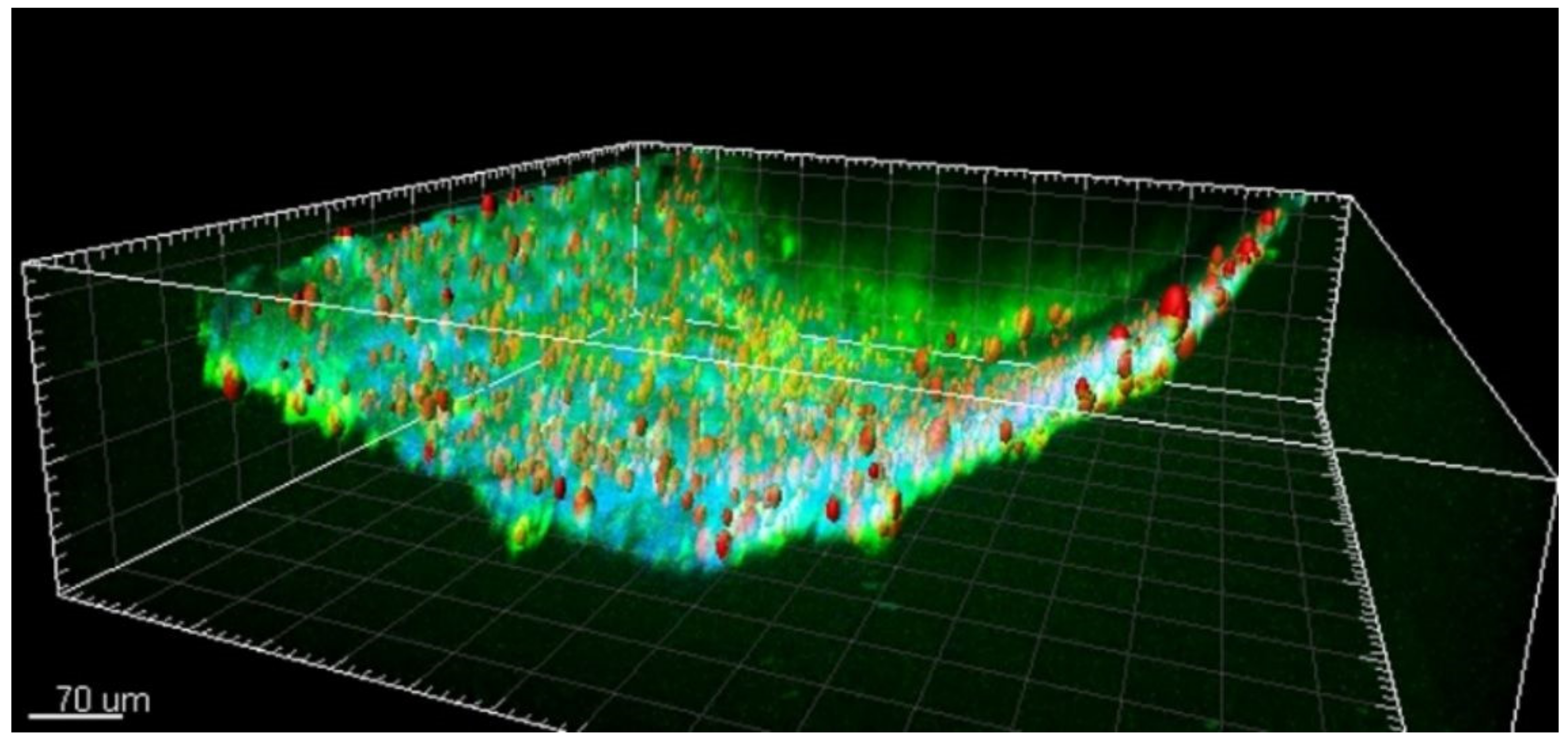 Applsci 11 02404 g005