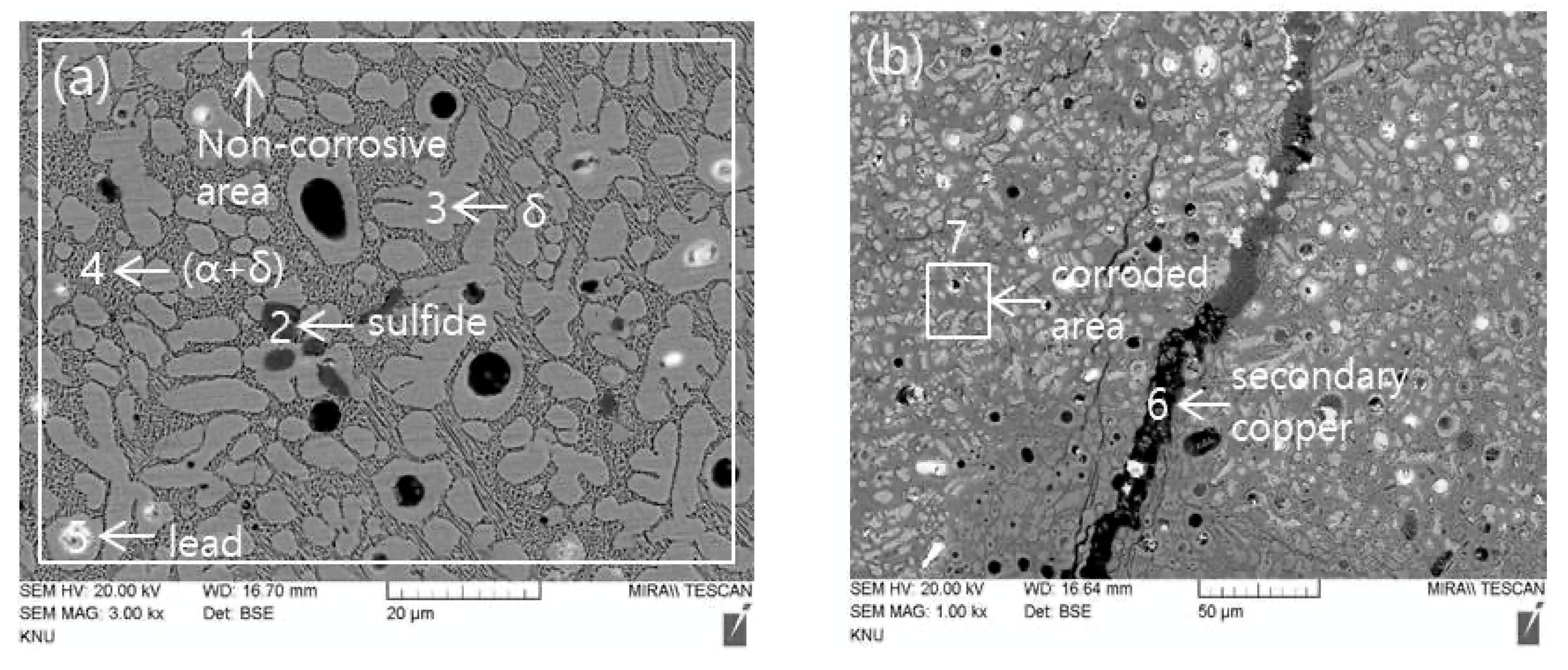 Applsci 11 02441 g003