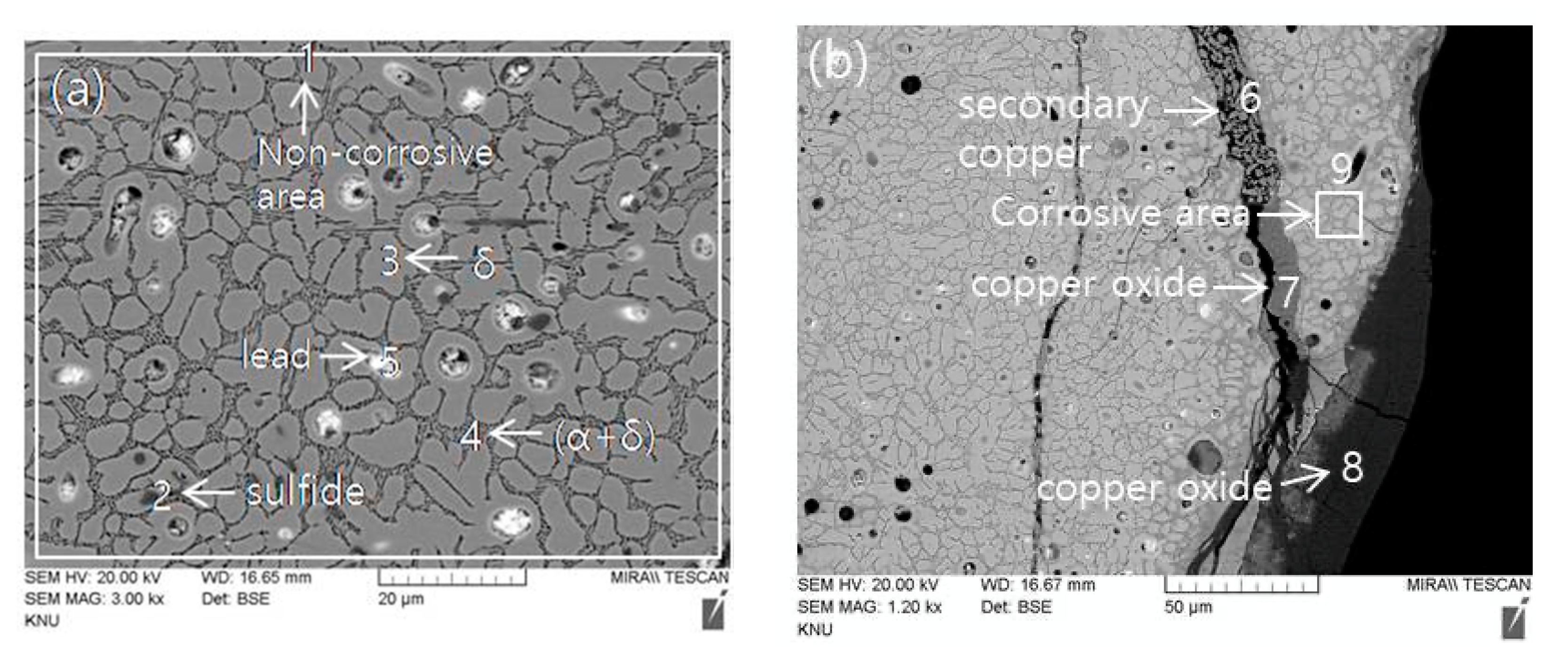 Applsci 11 02441 g007
