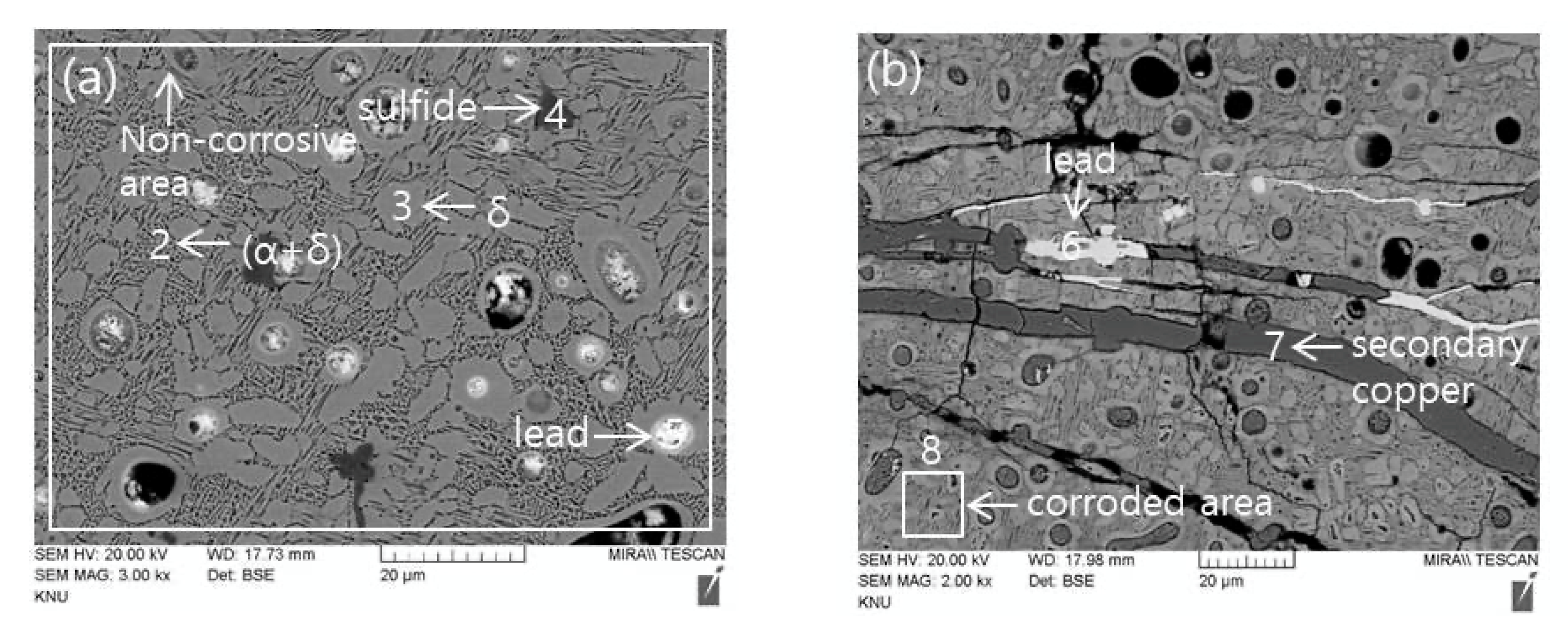 Applsci 11 02441 g009