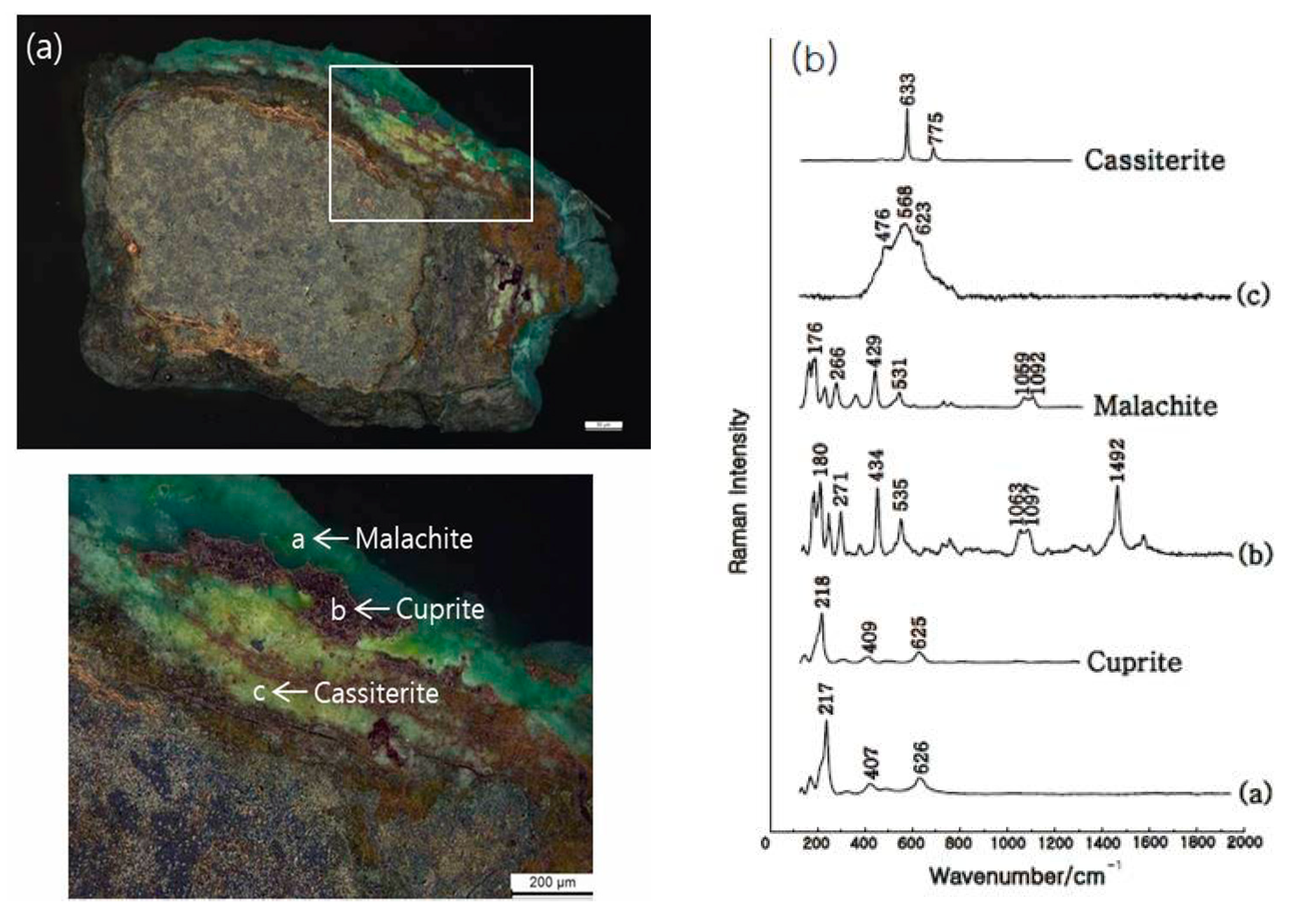 Applsci 11 02441 g011