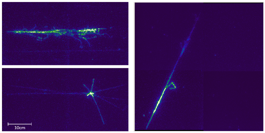 Applsci 11 02455 g052