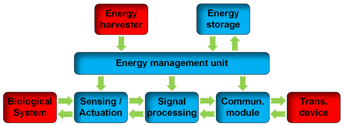 Applsci 11 02487 g002 Applsci 11 02487 g002