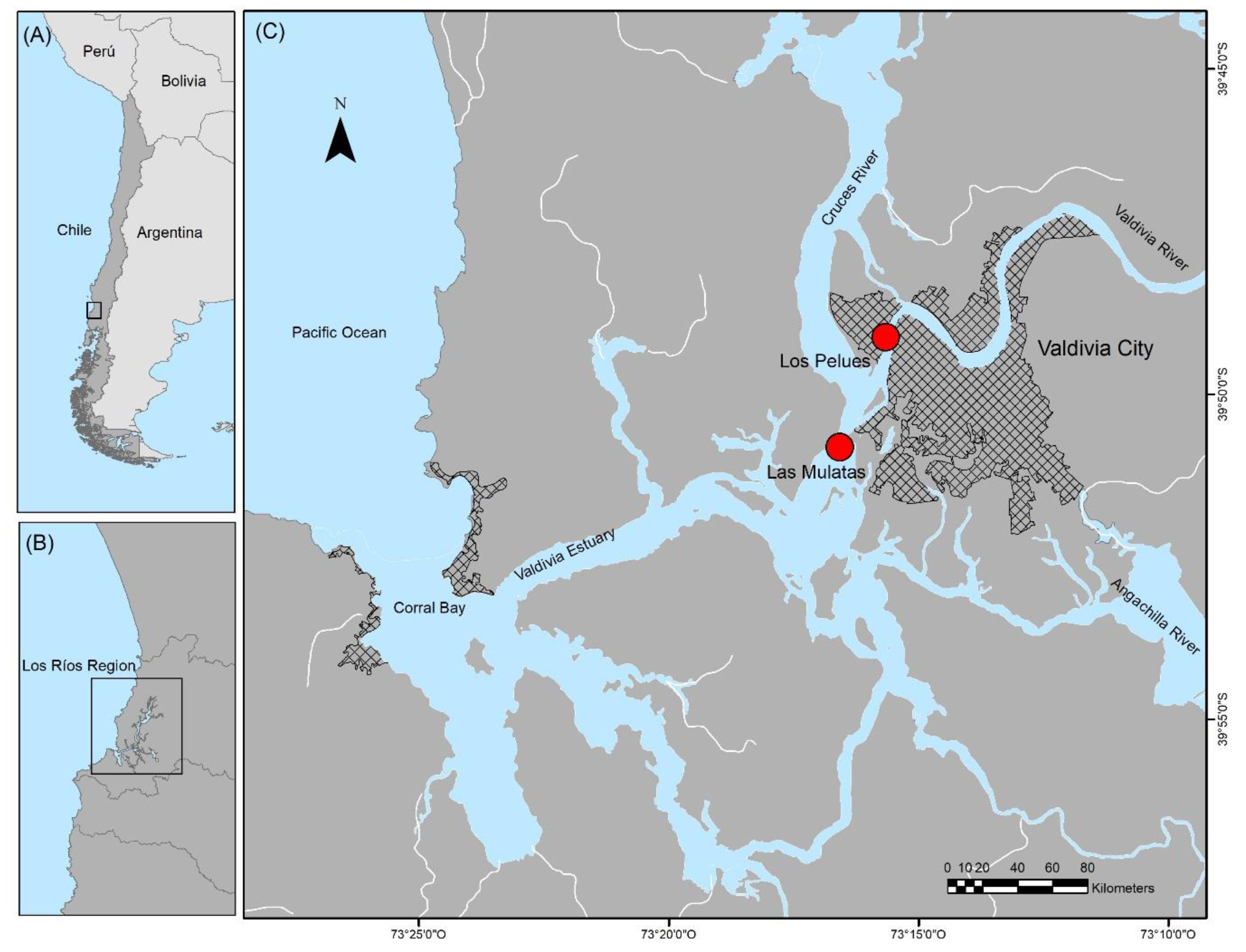 Applsci 11 02492 g001