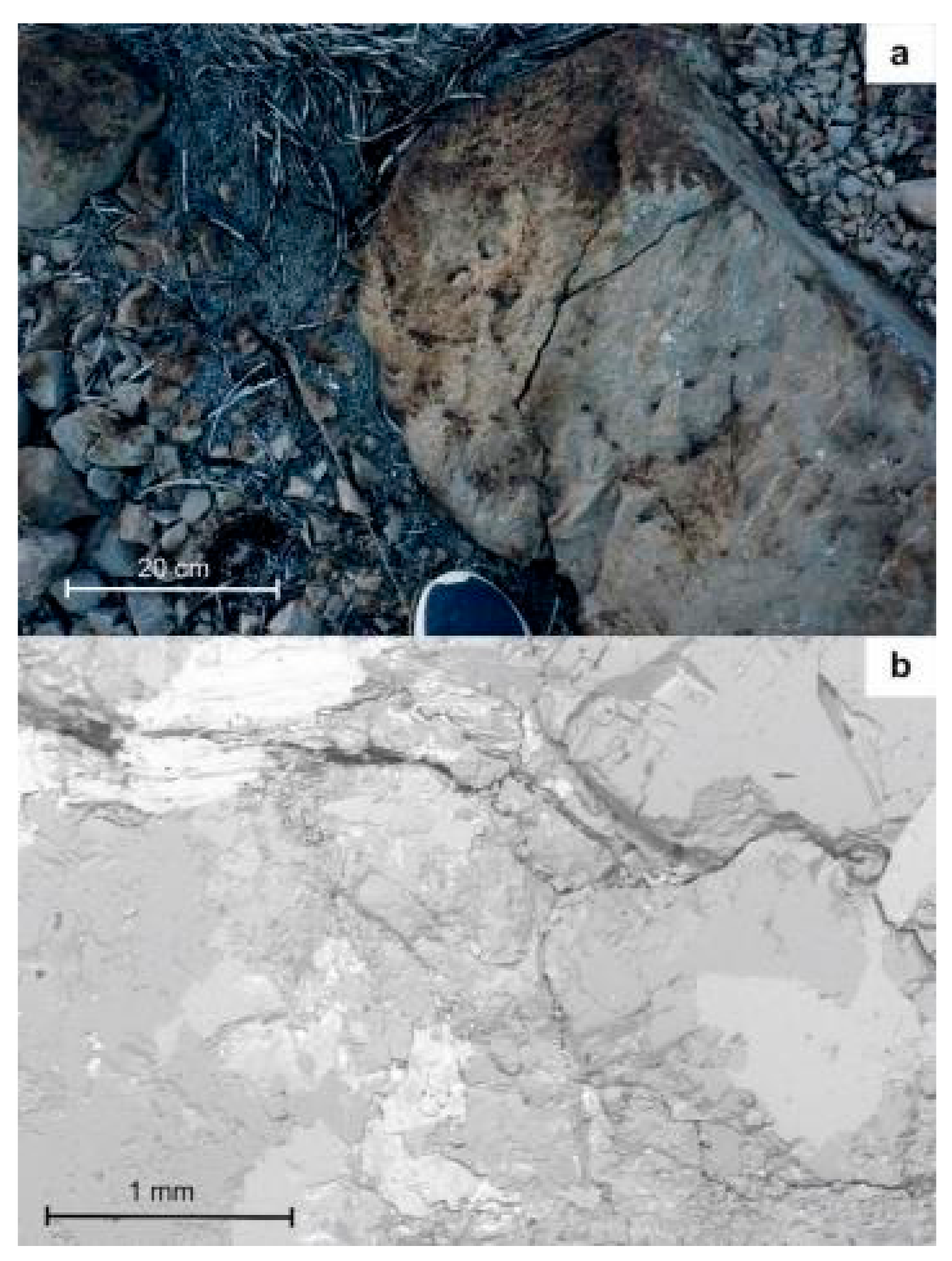 Applsci 11 02545 g003