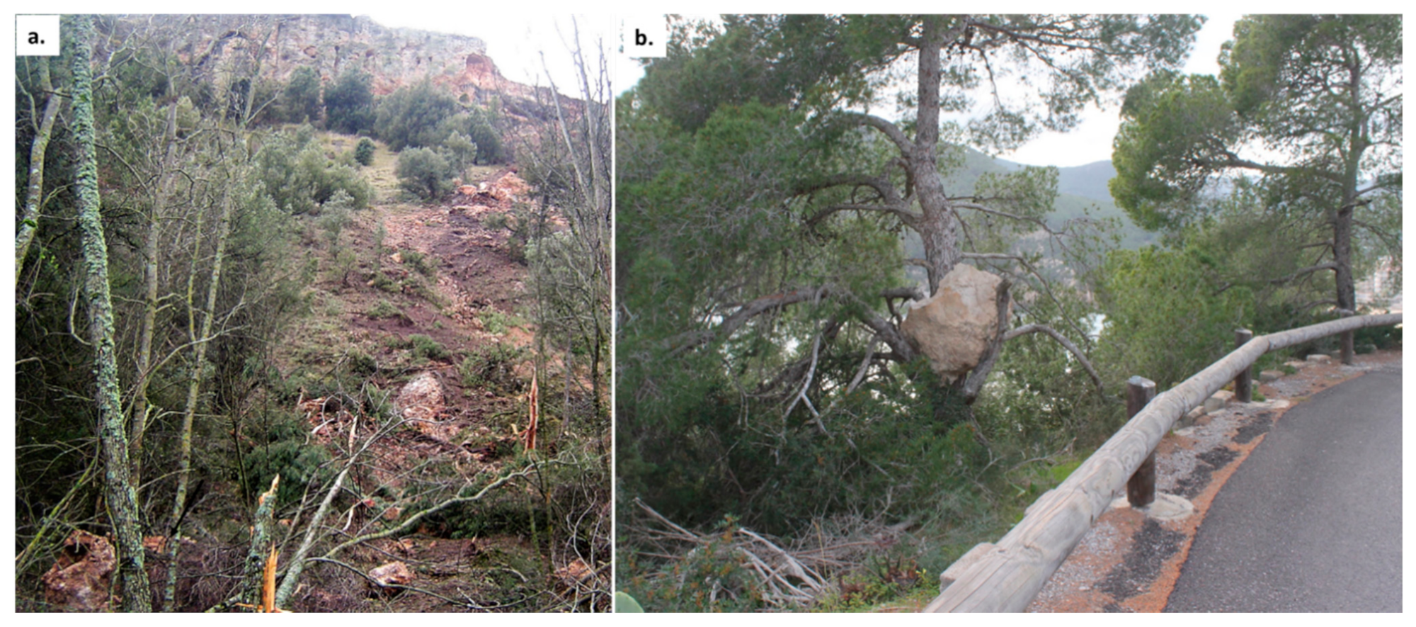 Applsci 11 02545 g005