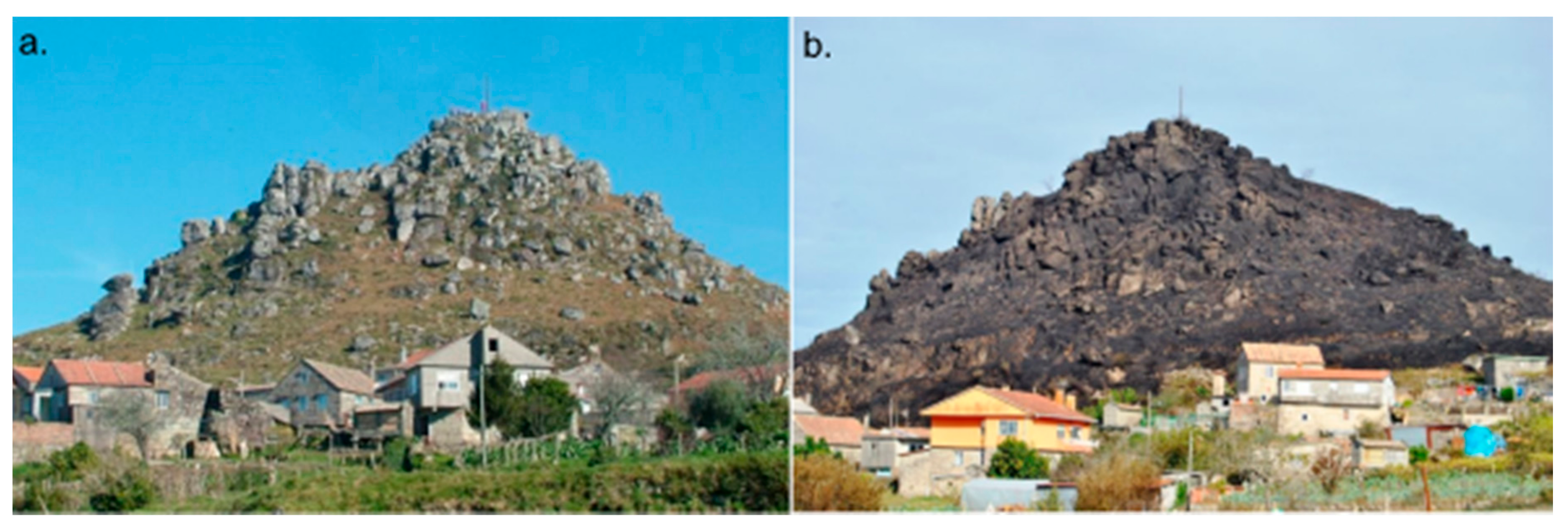 Applsci 11 02545 g008