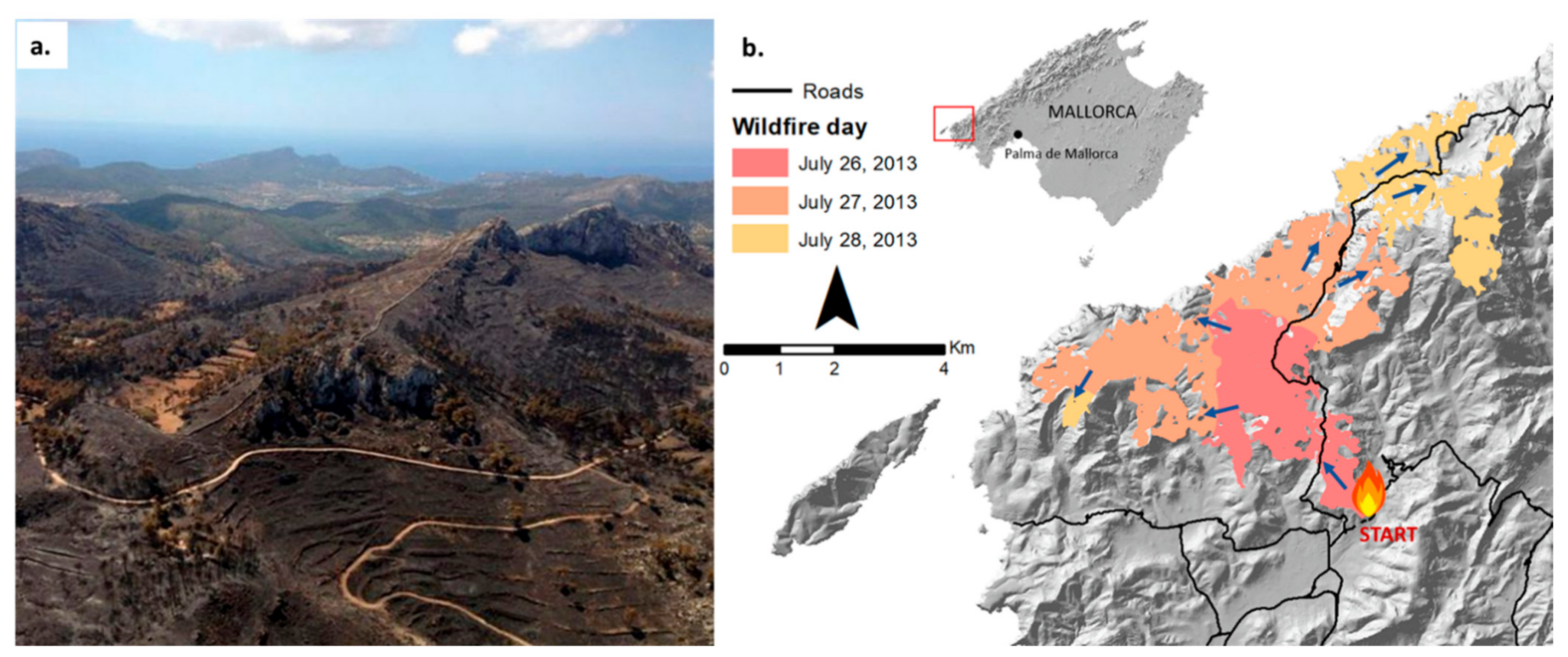 Applsci 11 02545 g011